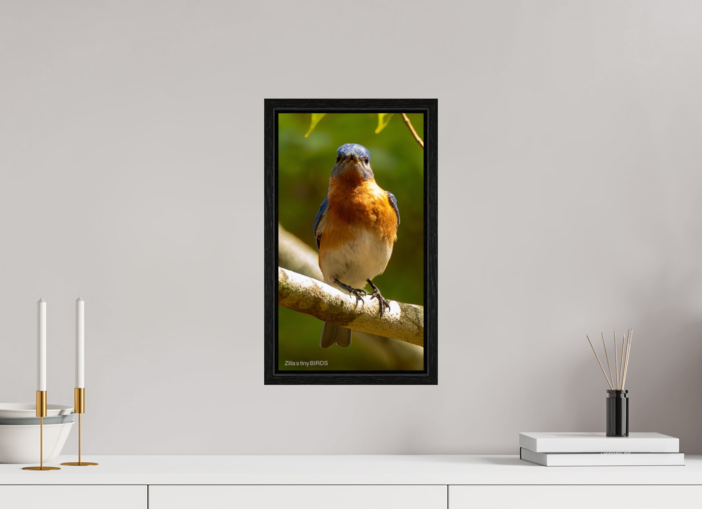 9 x 16″, Floater Frame Zillas Zoom Image 481