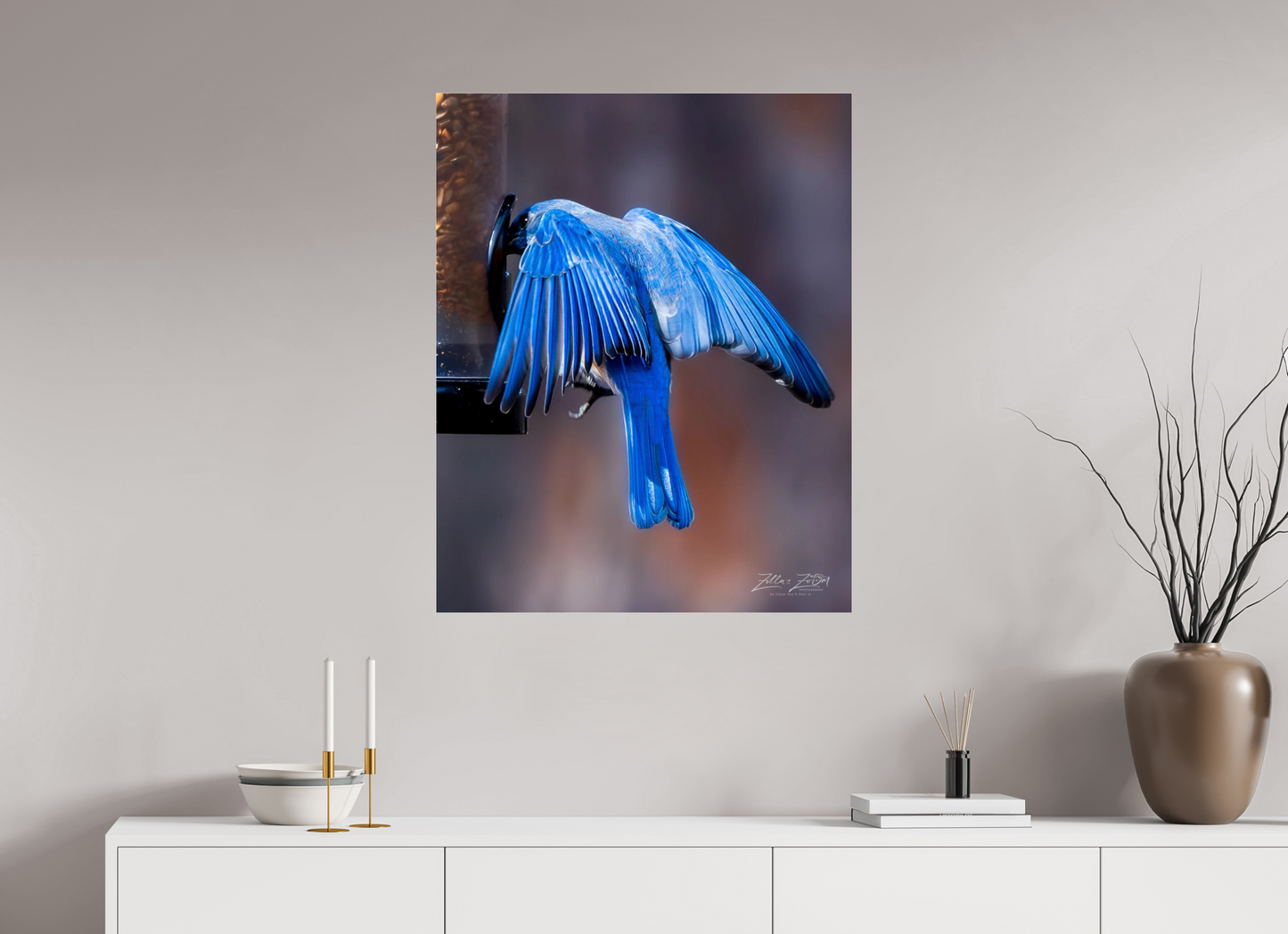 28 x 35″, Photo Print Under Acrylic Glass Zillas Zoom Image 511