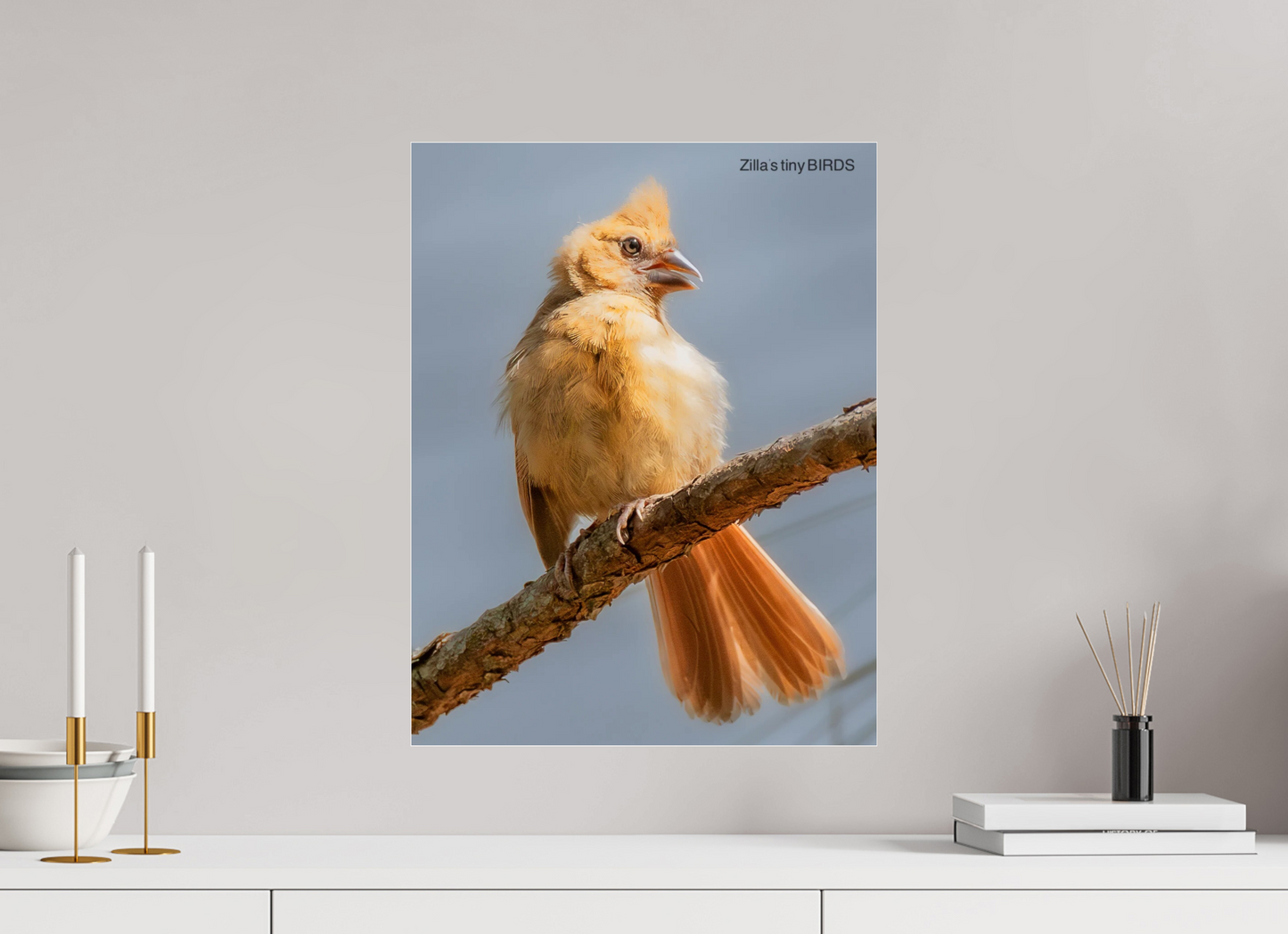 16 x 20.7″, Photo Print Under Acrylic Glass Zillas Zoom Image 508