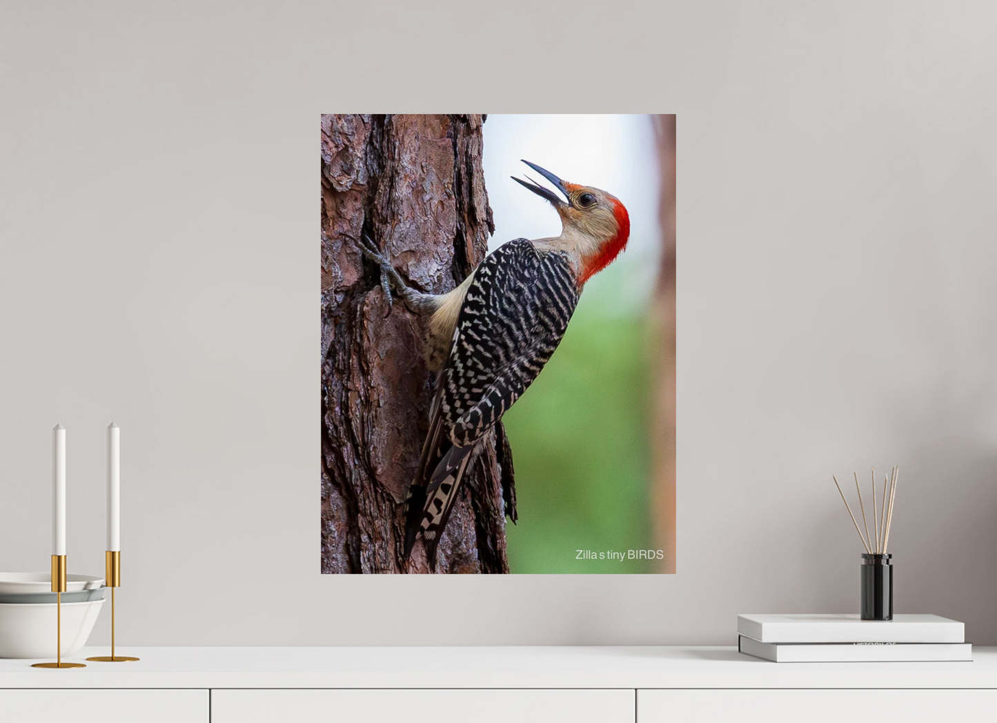 16 x 20.7″, Photo Print On Fuji Crystal DP II Zillas Zoom Image 475