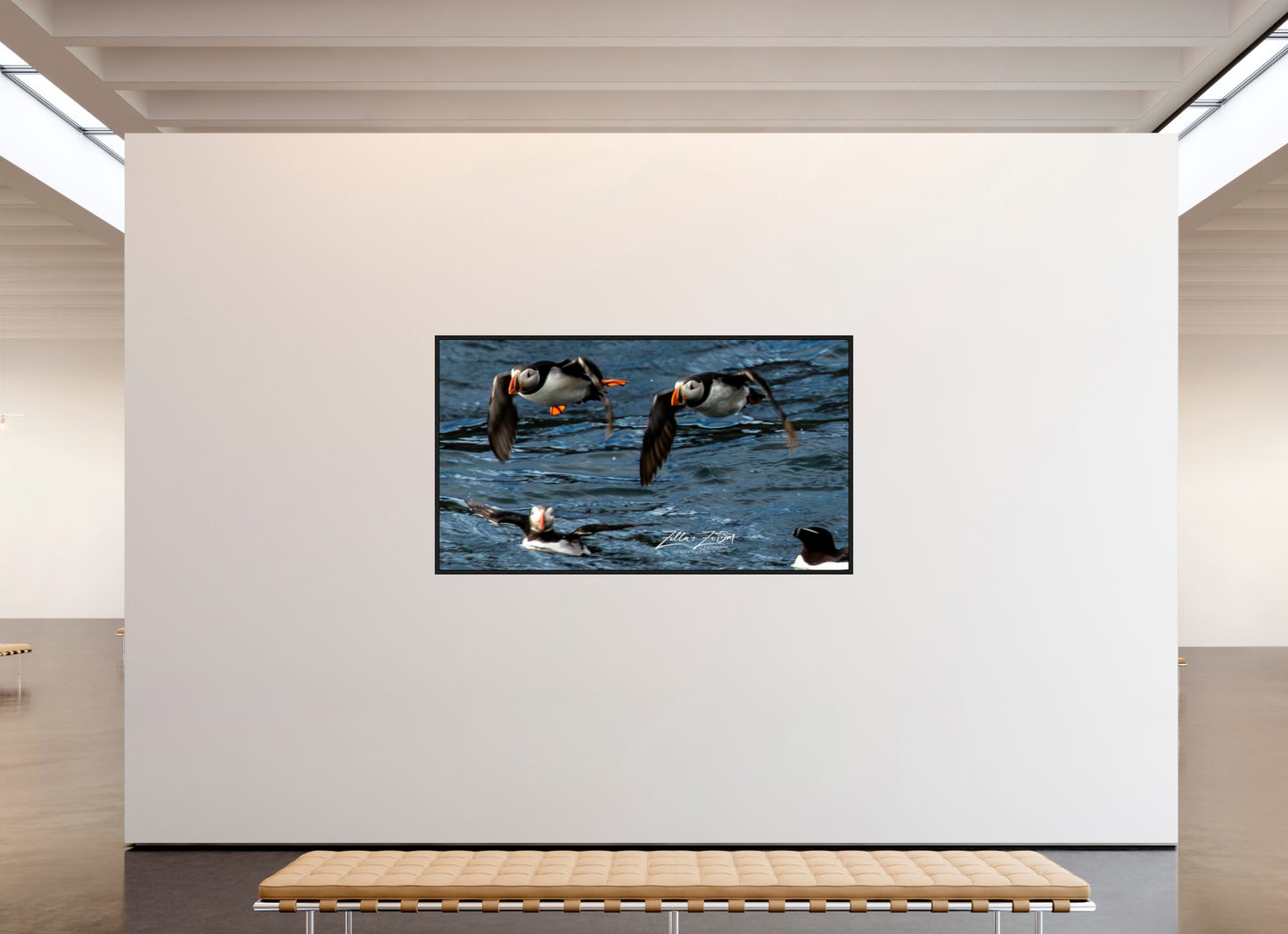 80 x 45″, Floater Frame Zillas Zoom Image 340