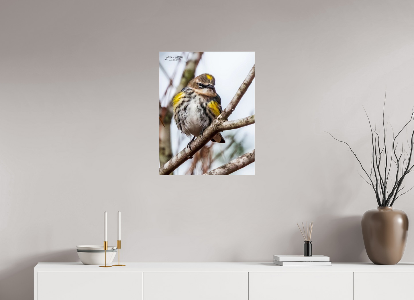20 x 25.9″, Photo Print Under Acrylic Glass Zillas Zoom Image 496