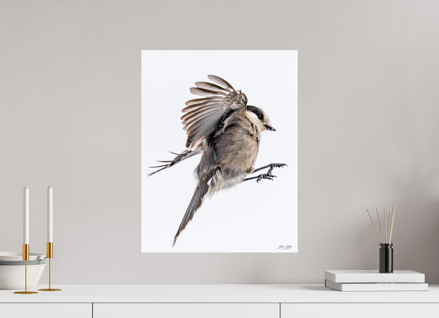 16 x 20.7″, Photo Print On Fuji Crystal DP II Zillas Zoom Image 525