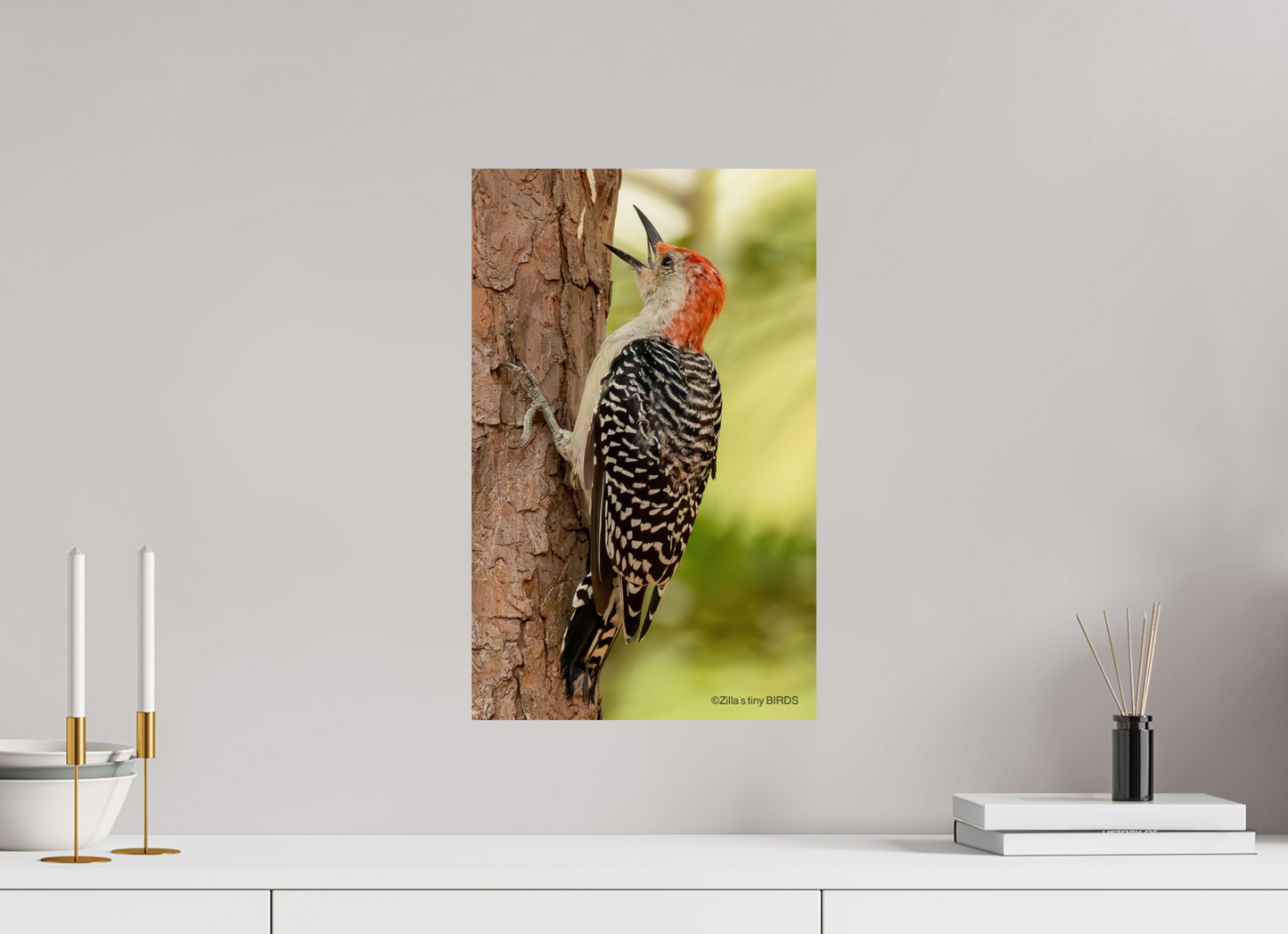 12 x 19.2″, Photo Print On Fuji Crystal DP II Zillas Zoom Image 459