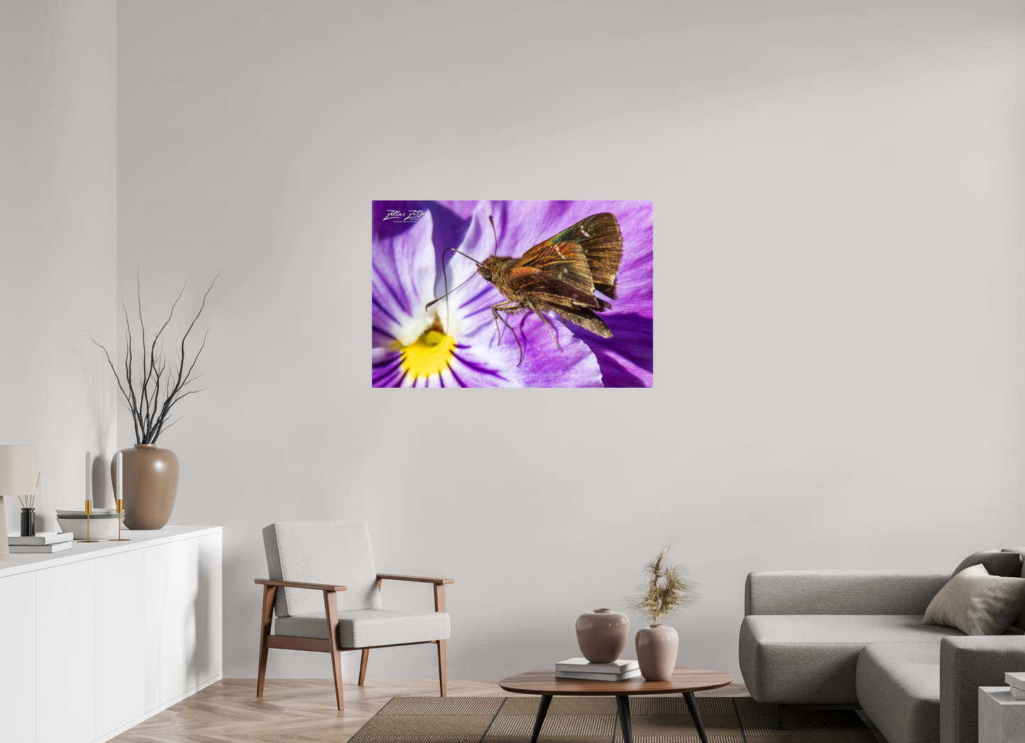 45 x 30″, Photo Print Under Acrylic Glass Zillas Zoom Image 59