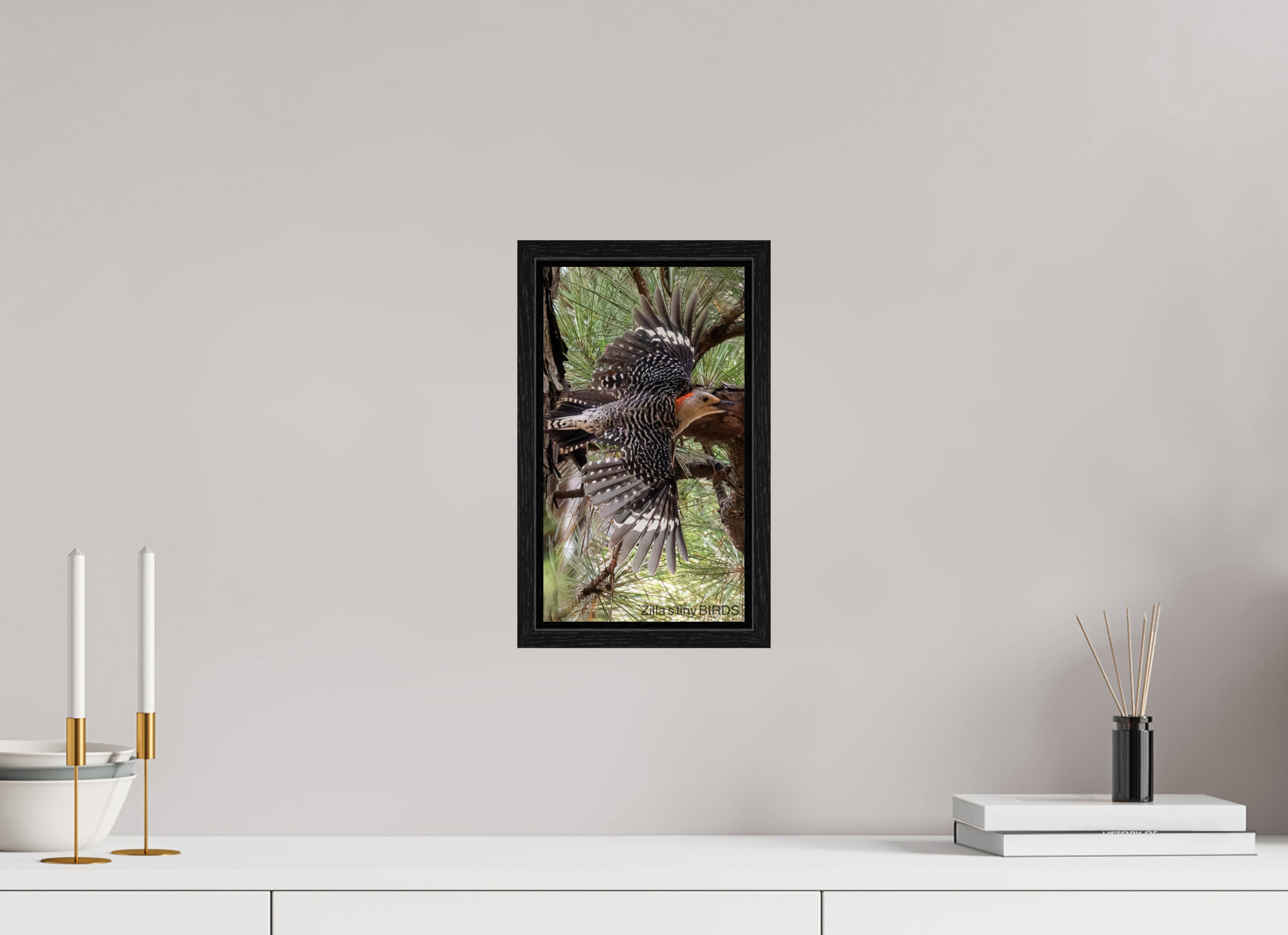 6.8 x 12″, Floater Frame Zillas Zoom Image 477