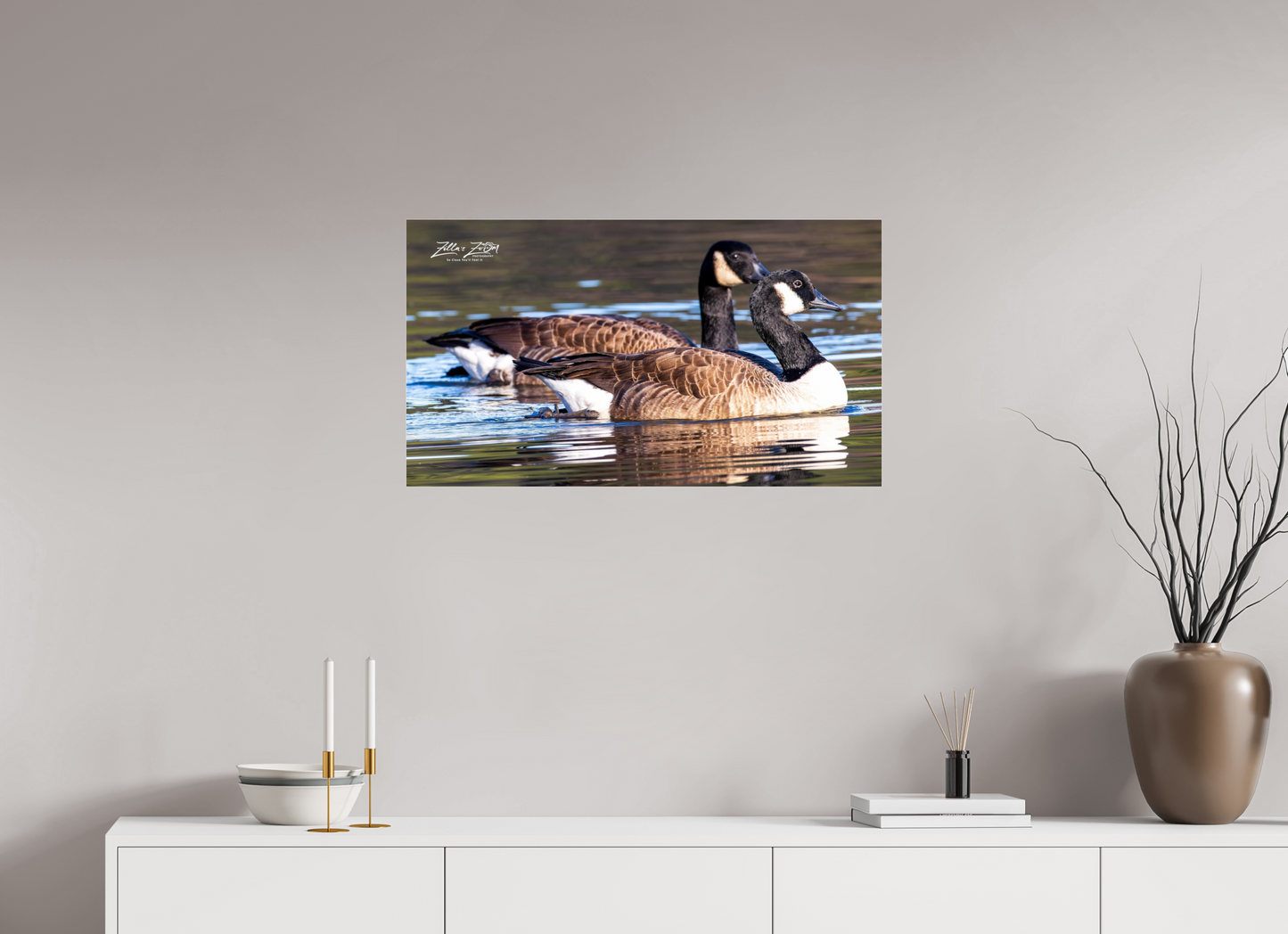 32 x 18″, Photo Print Under Acrylic Glass Zillas Zoom Image 278
