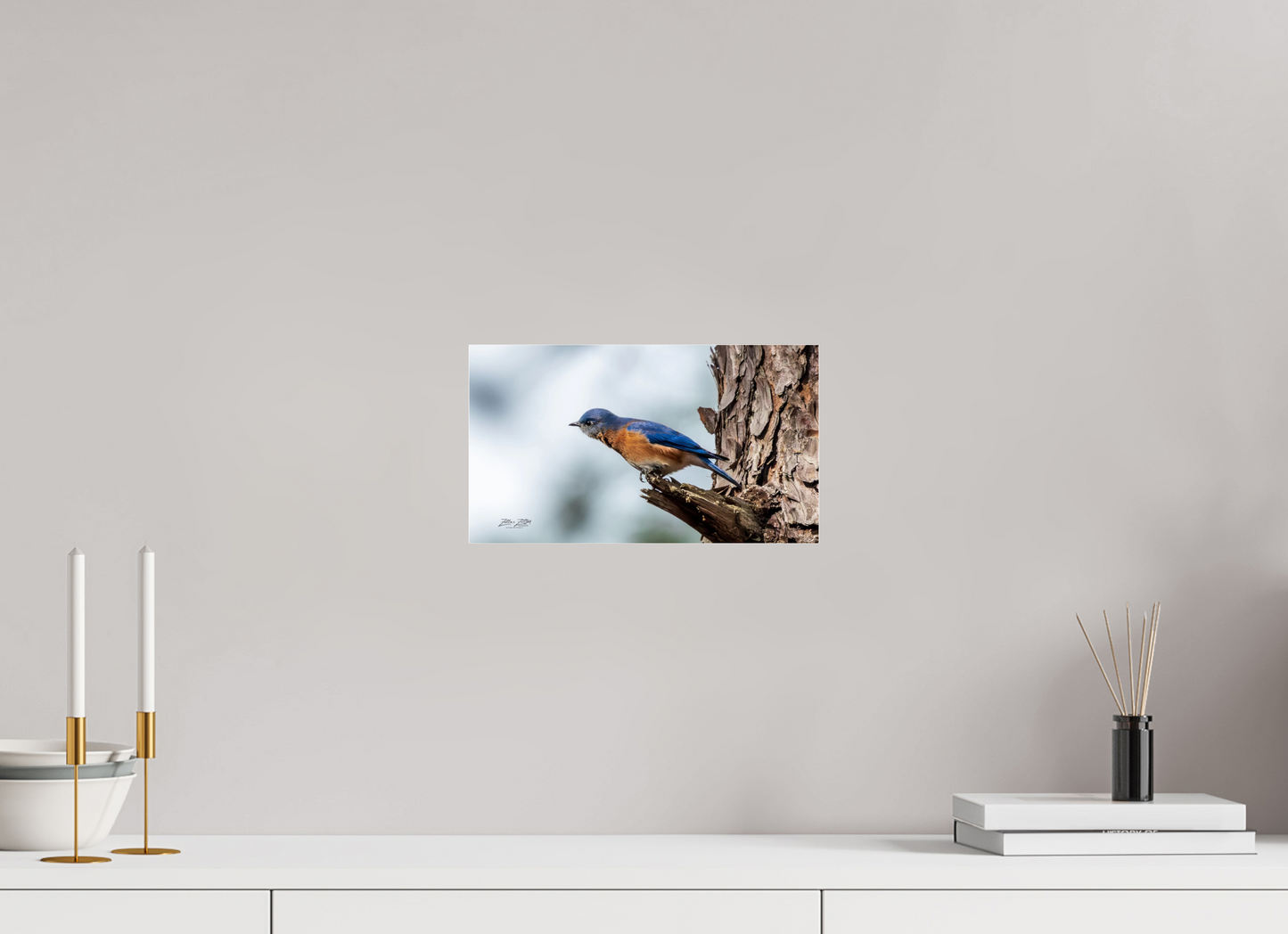 12 x 6.8″, Photo Print Under Acrylic Glass Zillas Zoom Image 346