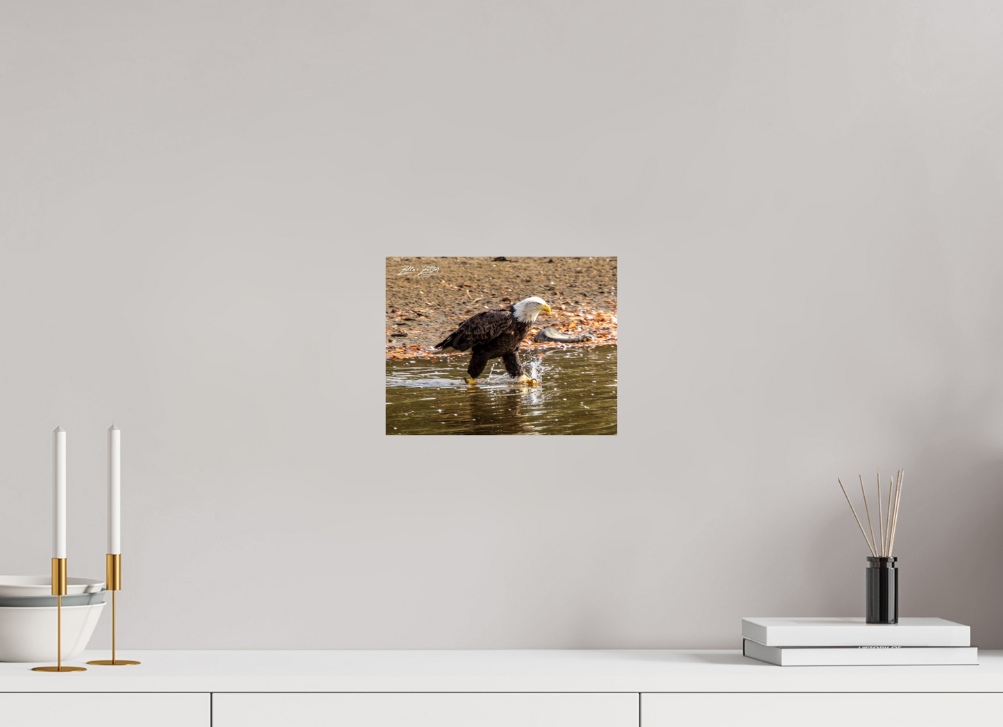10.4 x 8″, Photo Print On Fuji Crystal DP II Zillas Zoom Image 303