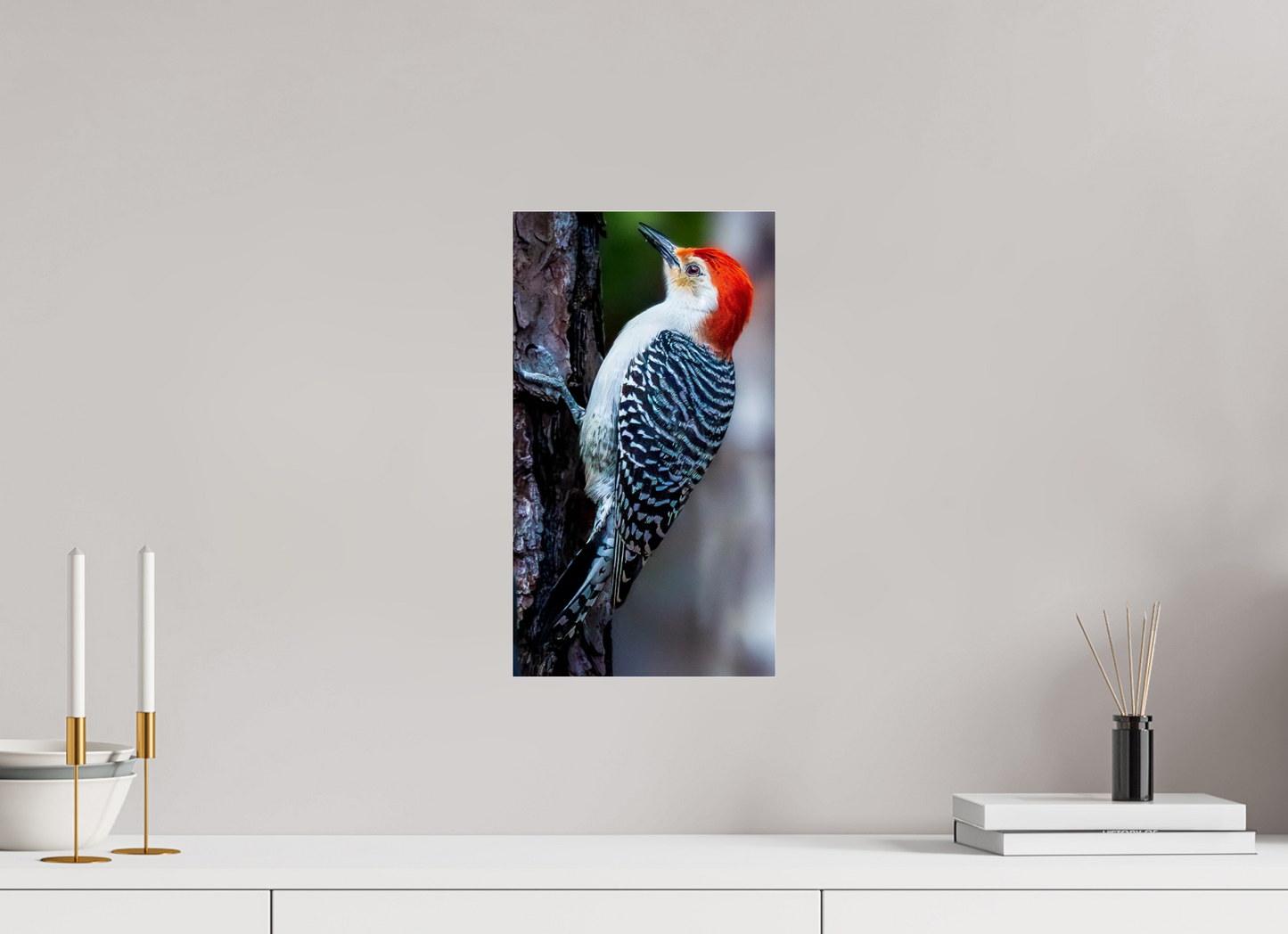 9 x 16″, Photo Print Under Acrylic Glass Zillas Zoom Image 447