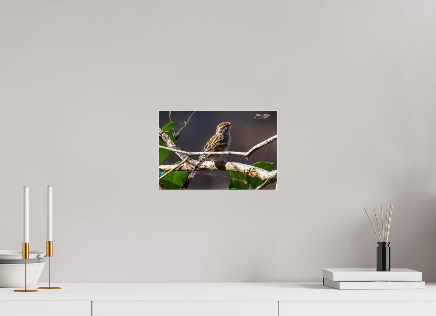 12 x 8″, Photo Print Under Acrylic Glass Zillas Zoom Image 289