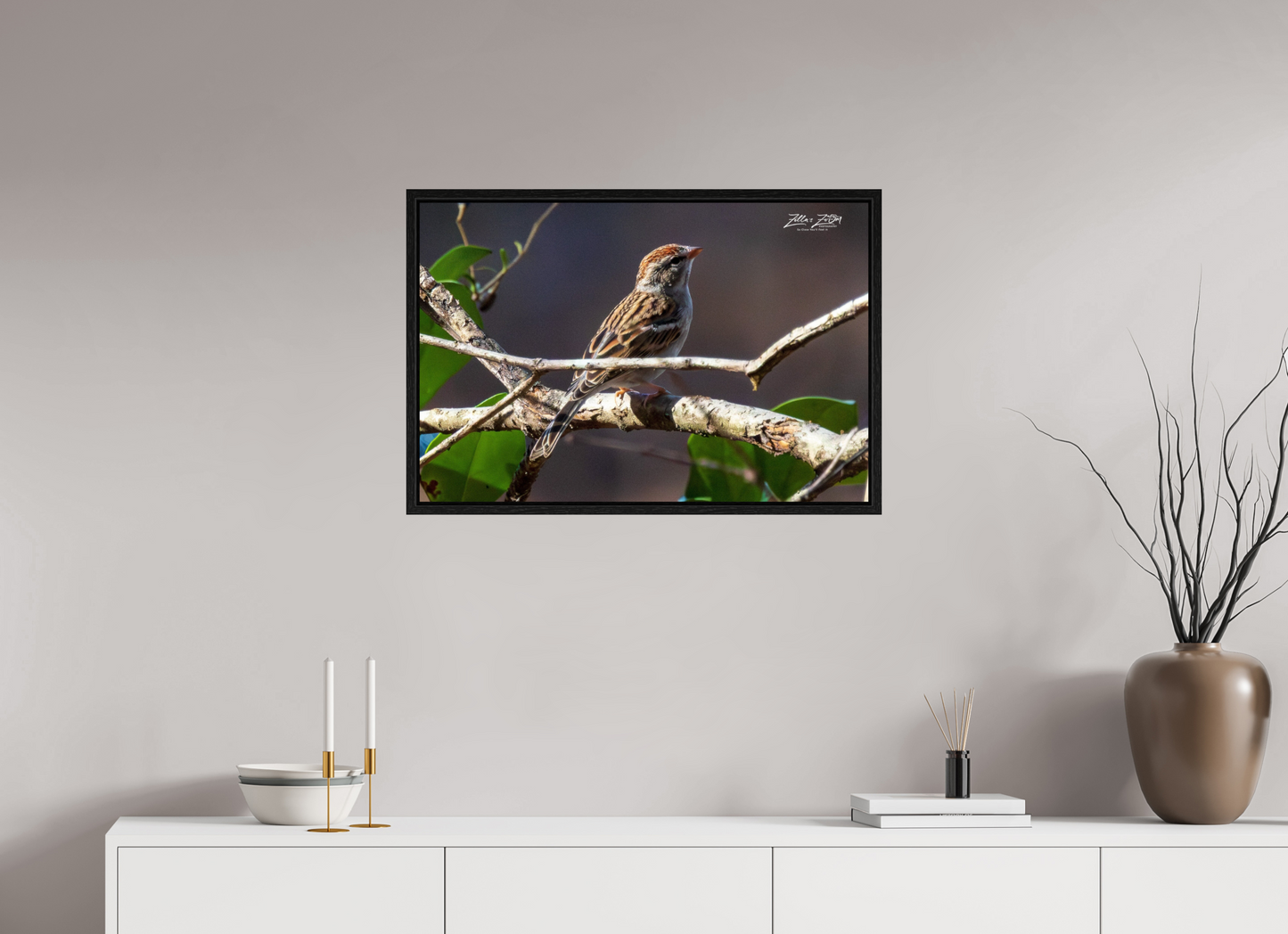 30 x 20″, Floater Frame Zillas Zoom Image 289