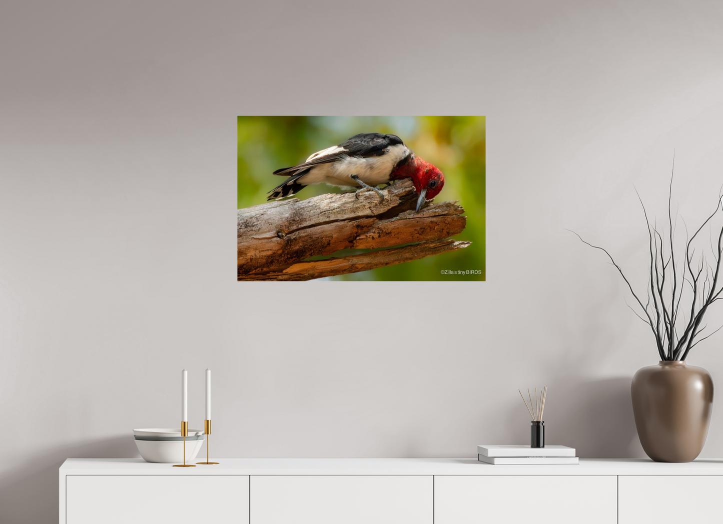 30 x 20″, Photo Print On Fuji Crystal DP II Zillas Zoom Image 329