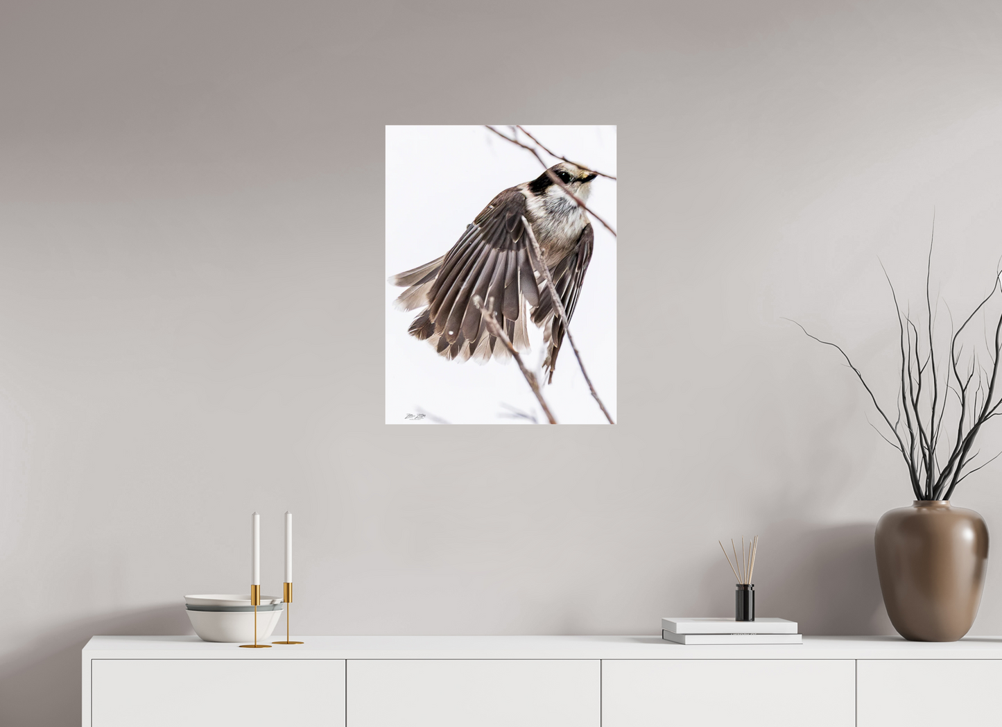 20 x 25.9″, Photo Print Under Acrylic Glass Zillas Zoom Image 507
