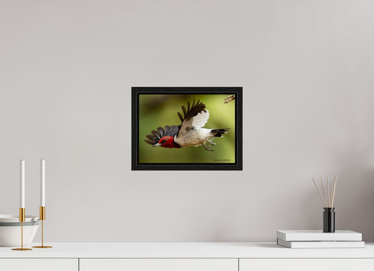 11.2 x 8″, Floater Frame Zillas Zoom Image 274