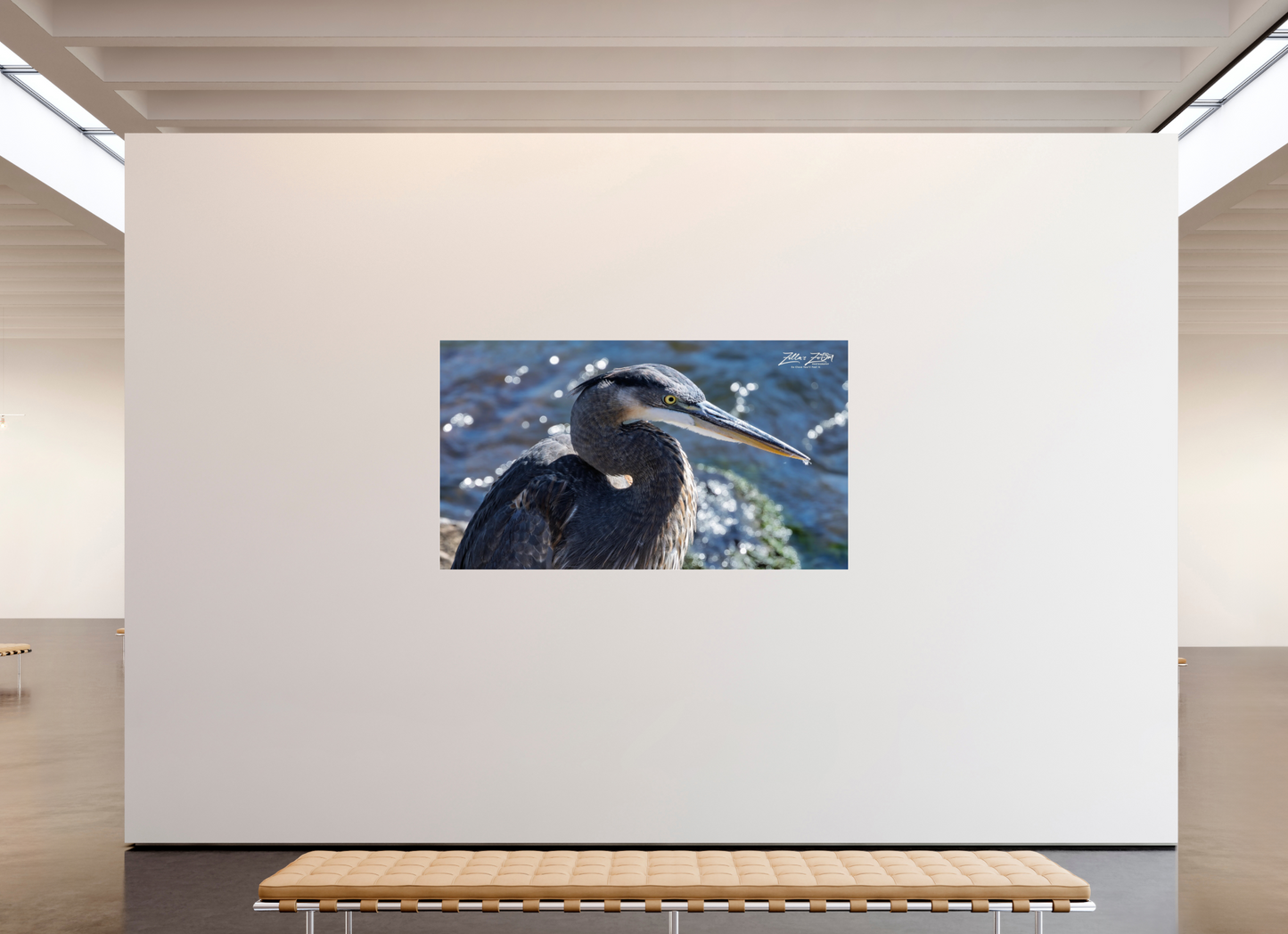 80 x 45″, Photo Print Under Acrylic Glass Zillas Zoom Image 343