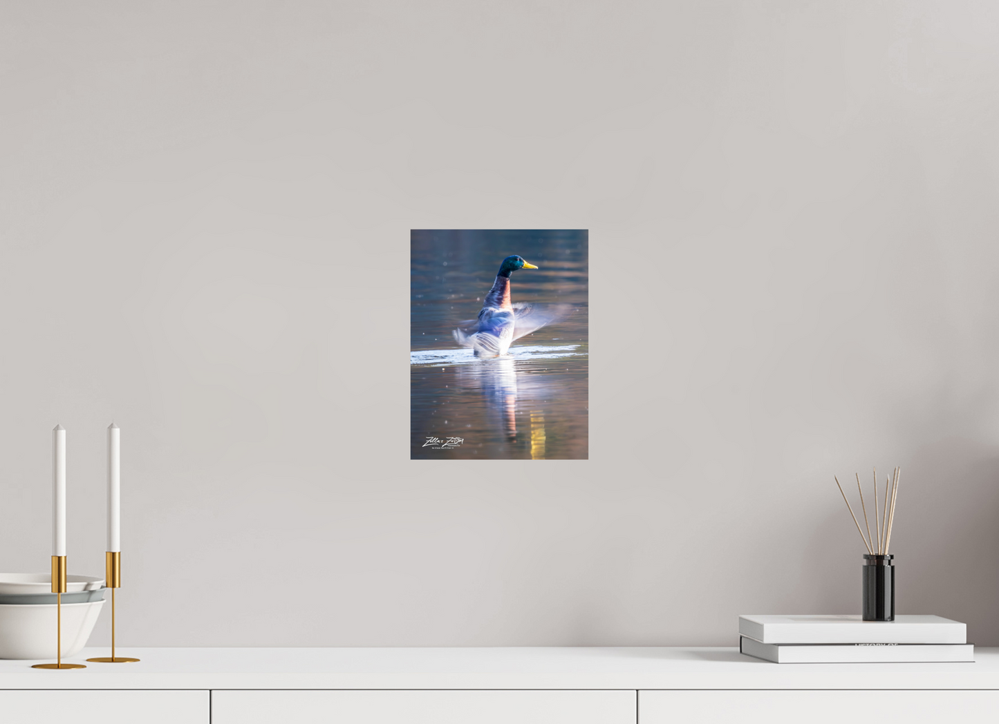 8 x 10.4″, Photo Print On Fuji Crystal DP II Zillas Zoom Image 448