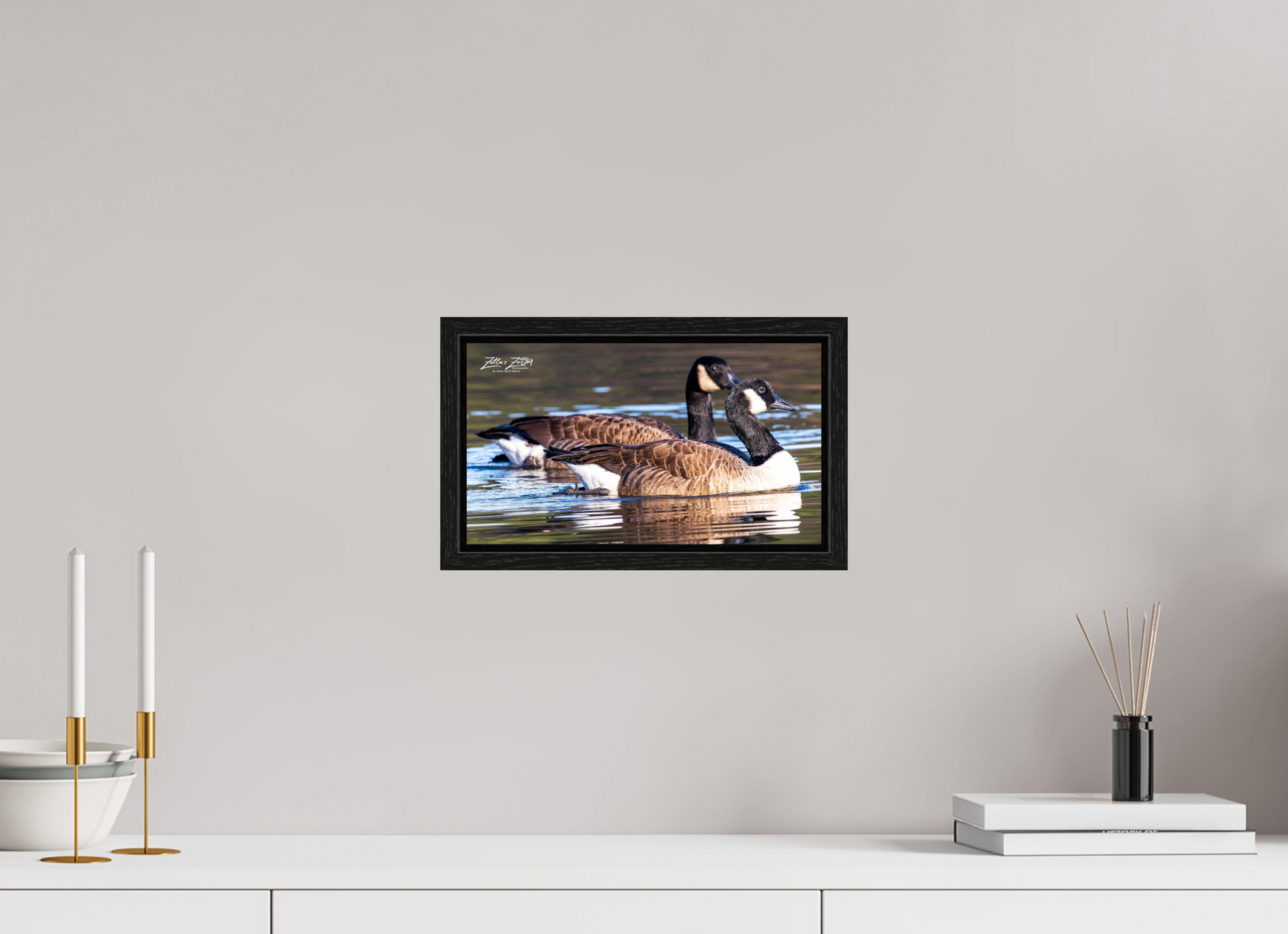 12 x 6.8″, Floater Frame Zillas Zoom Image 278