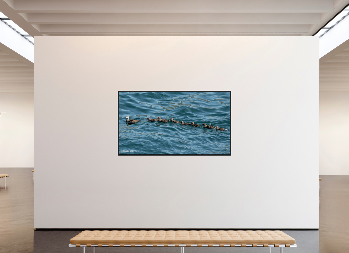 80 x 45″, Floater Frame Zillas Zoom Image 354