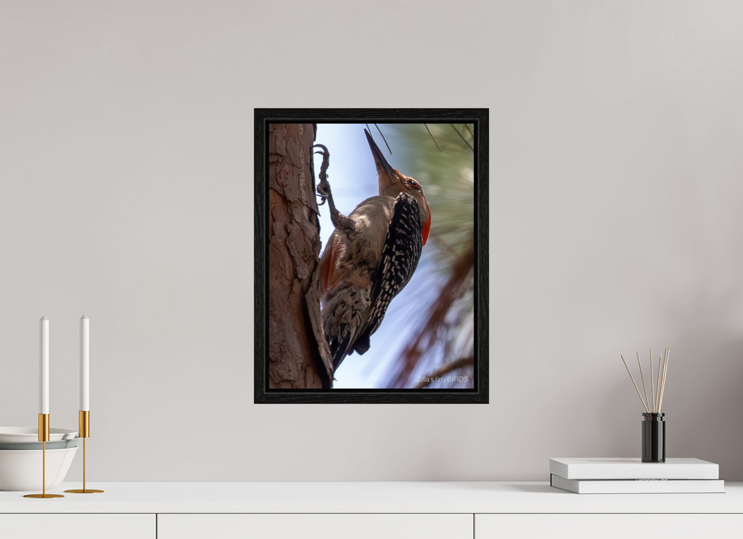 12 x 15.6″, Floater Frame Zillas Zoom Image 474