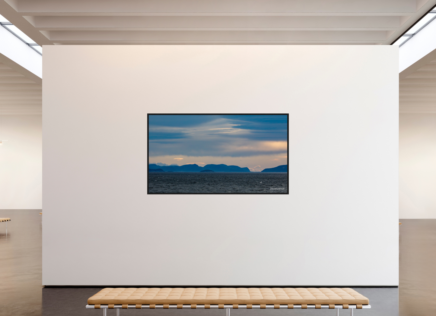 80 x 45″, Floater Frame Zillas Zoom Image 216
