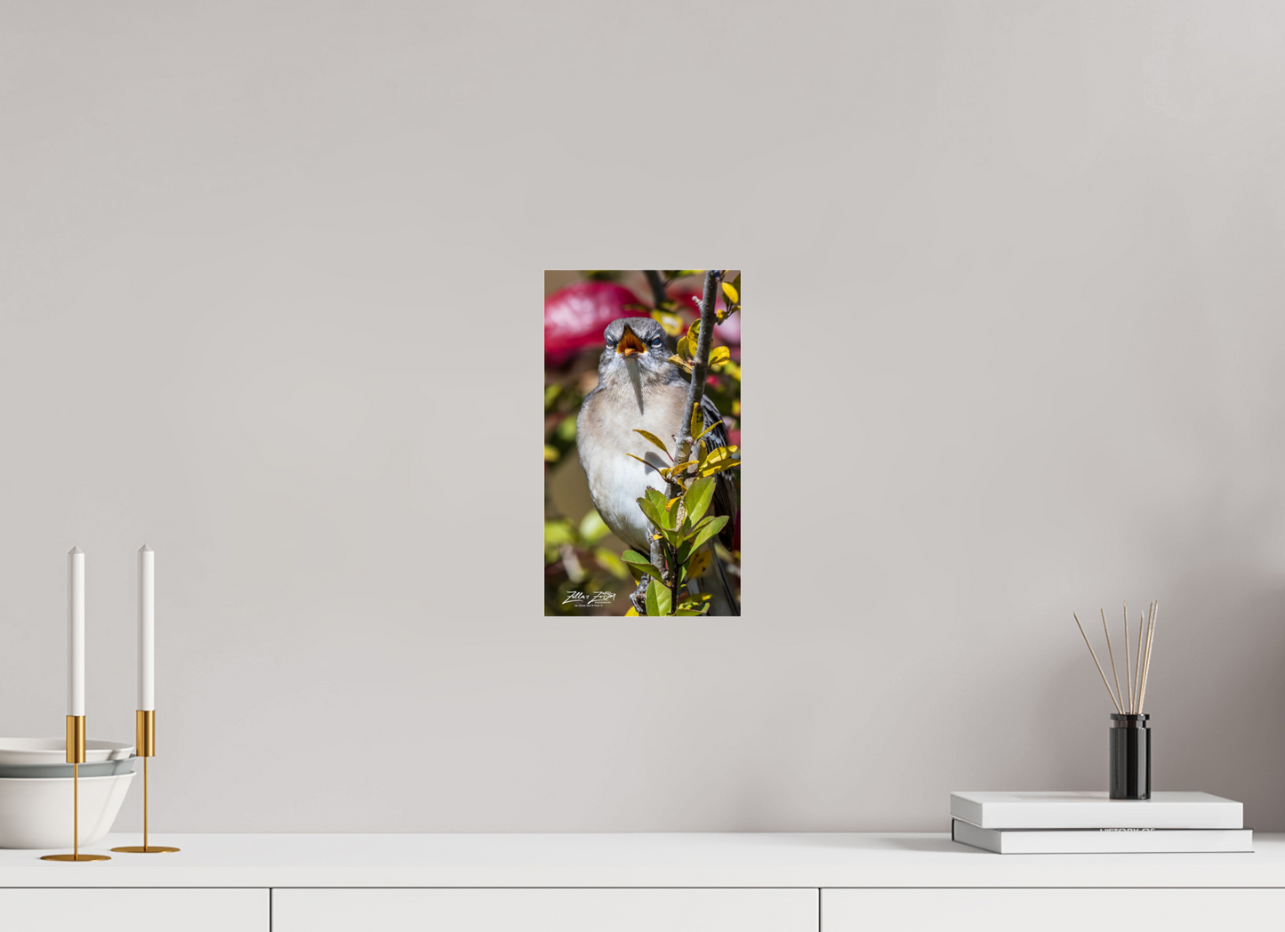 6.8 x 12″, Photo Print Under Acrylic Glass Zillas Zoom Image 405