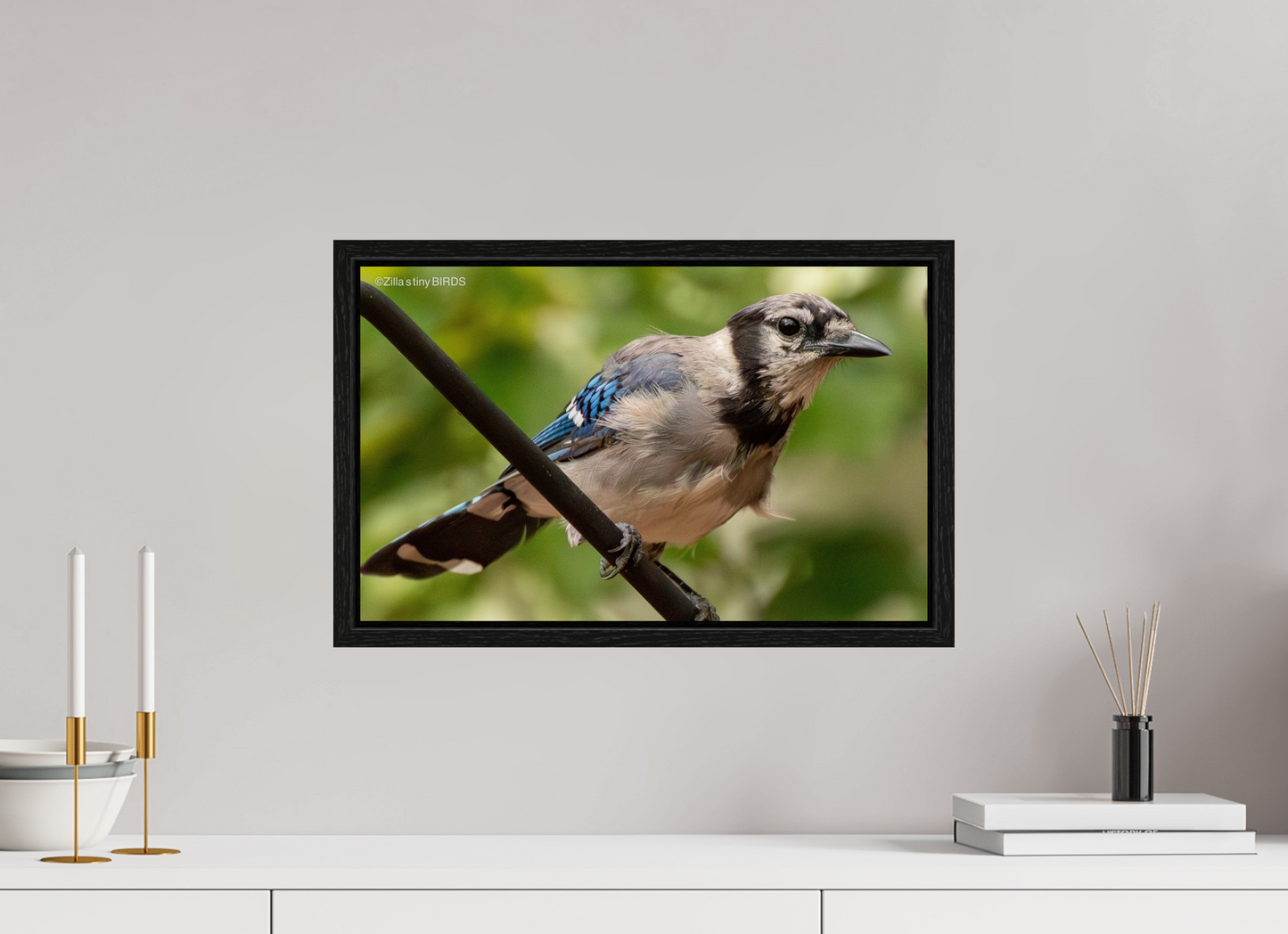 19.2 x 12″, Floater Frame Zillas Zoom Image 348
