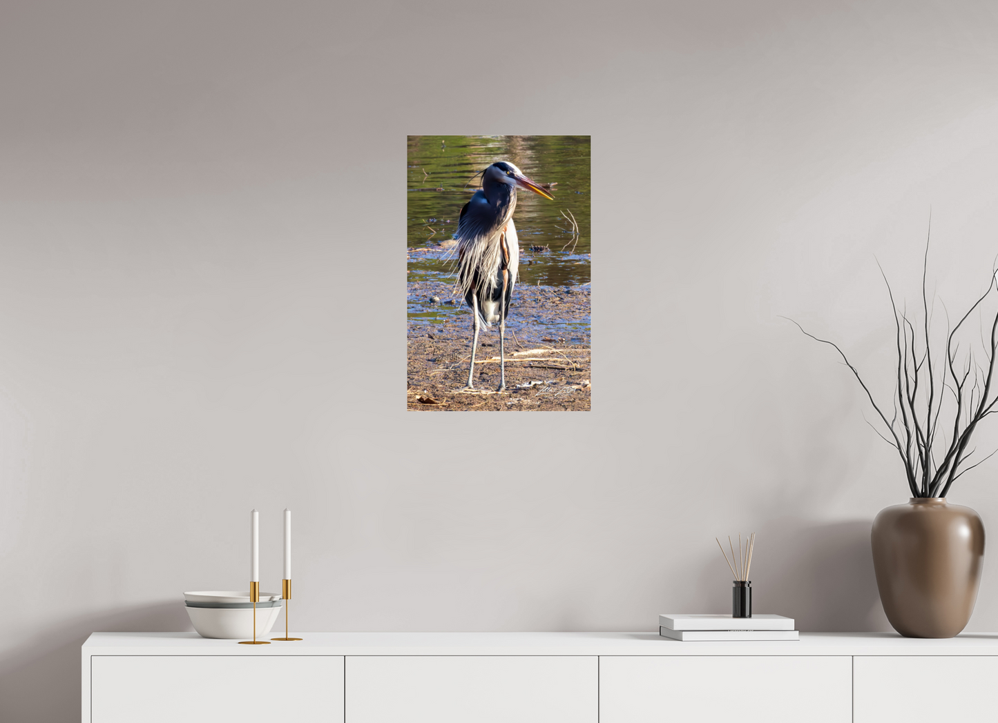 16 x 24″, Photo Print Under Acrylic Glass Zillas Zoom Image 412
