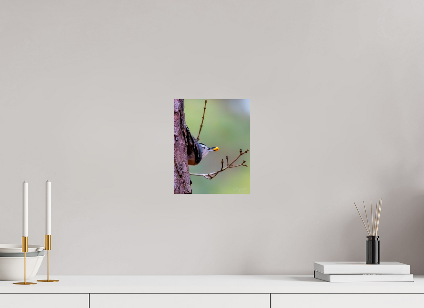 8 x 10″, Photo Print On Fuji Crystal DP II Zillas Zoom Image 503