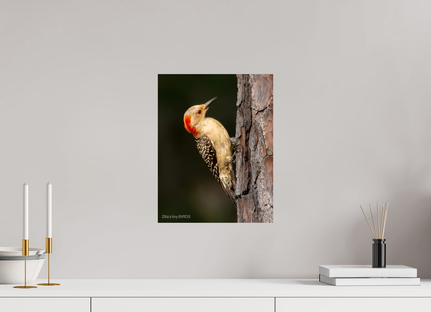 12 x 15.5″, Photo Print On Fuji Crystal DP II Zillas Zoom Image 514