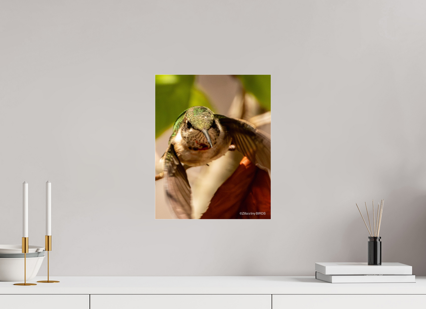 12 x 15″, Photo Print Under Acrylic Glass Zillas Zoom Image 504