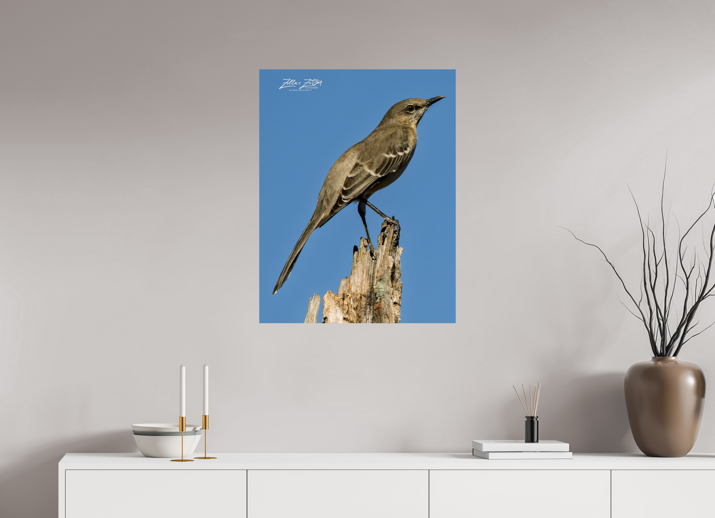 24 x 31.1″, Photo Print On Fuji Crystal DP II Zillas Zoom Image 404