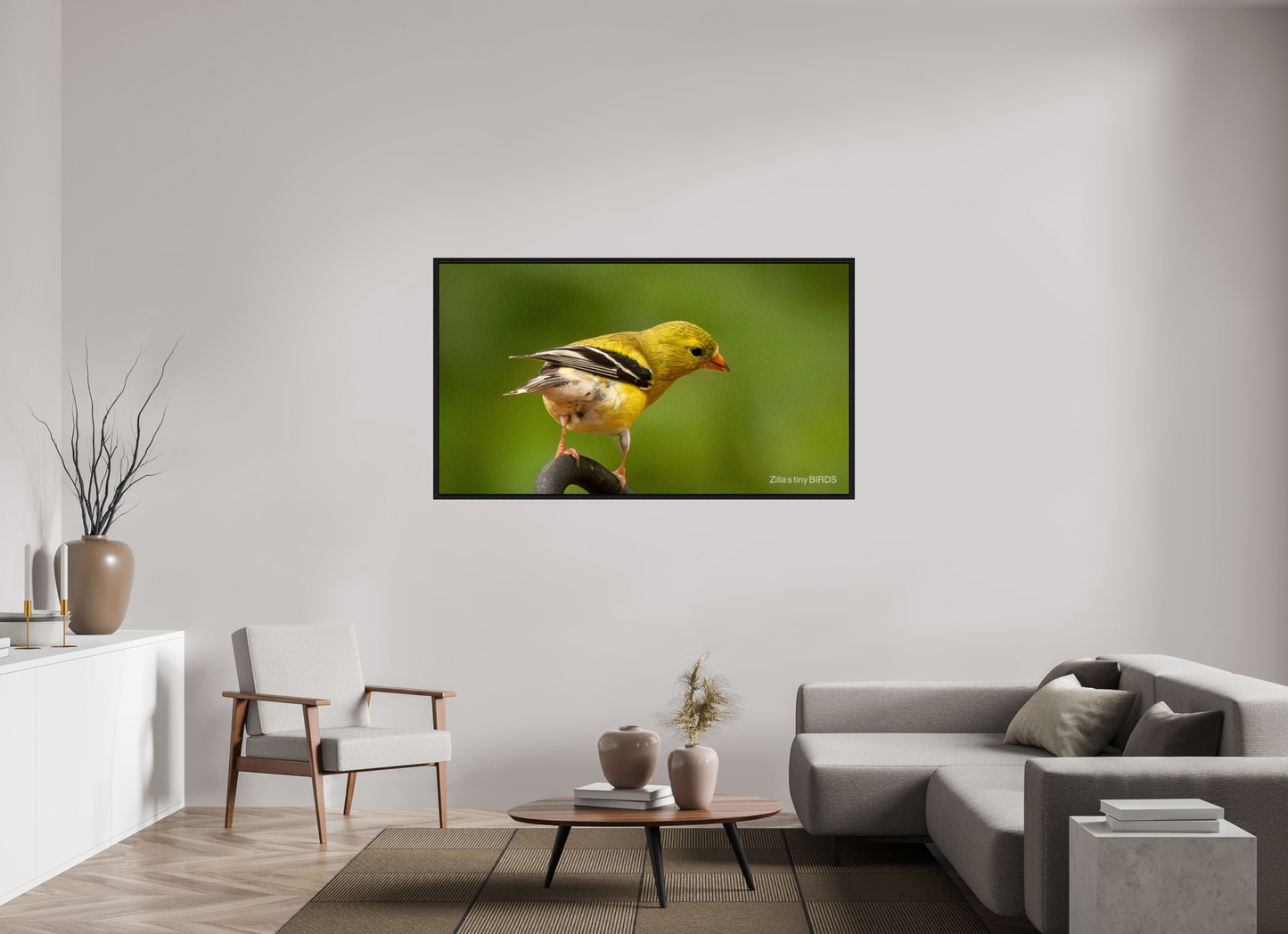 64 x 36″, Floater Frame Zillas Zoom Image 380