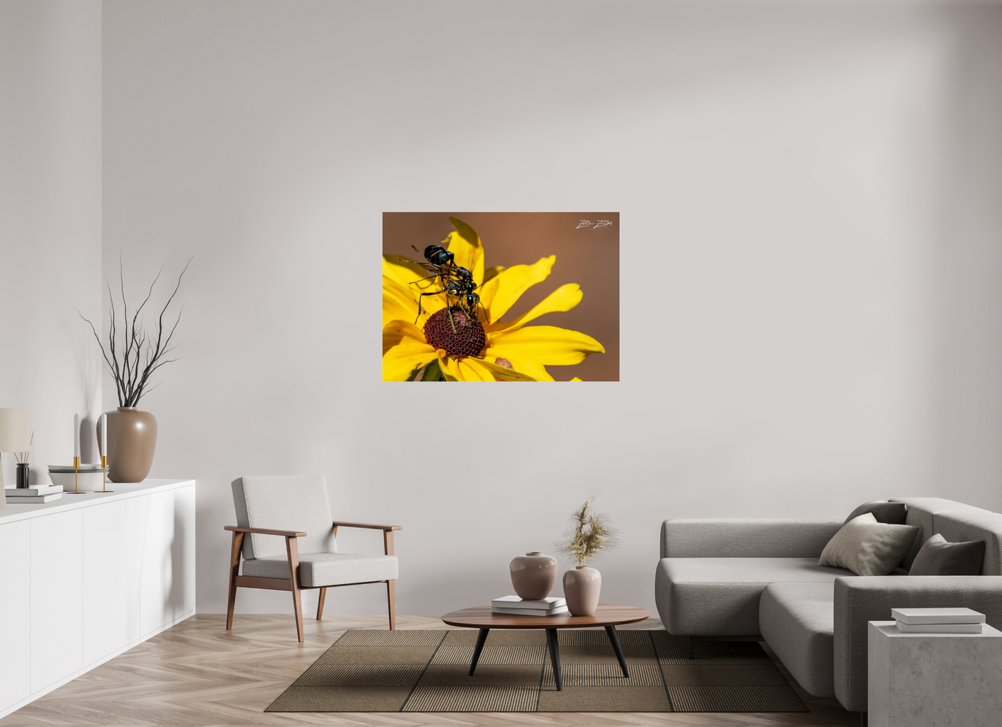 49 x 35″, Photo Print Under Acrylic Glass Zillas Zoom Image 104