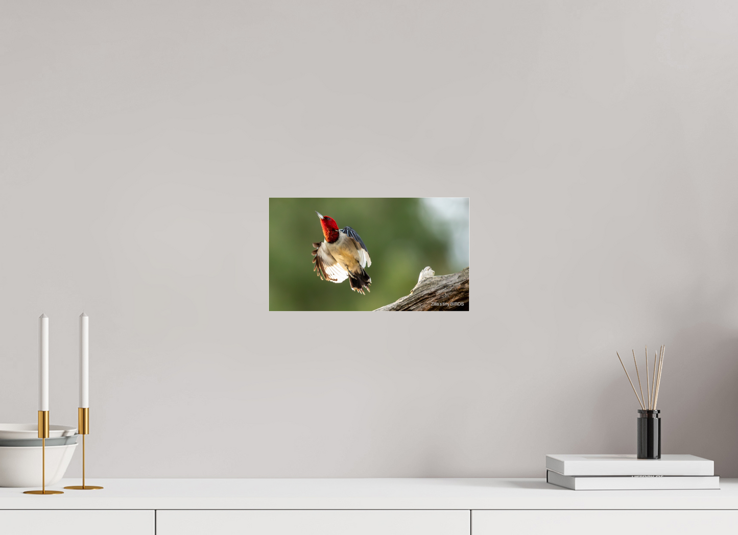12 x 6.8″, Photo Print Under Acrylic Glass Zillas Zoom Image 374