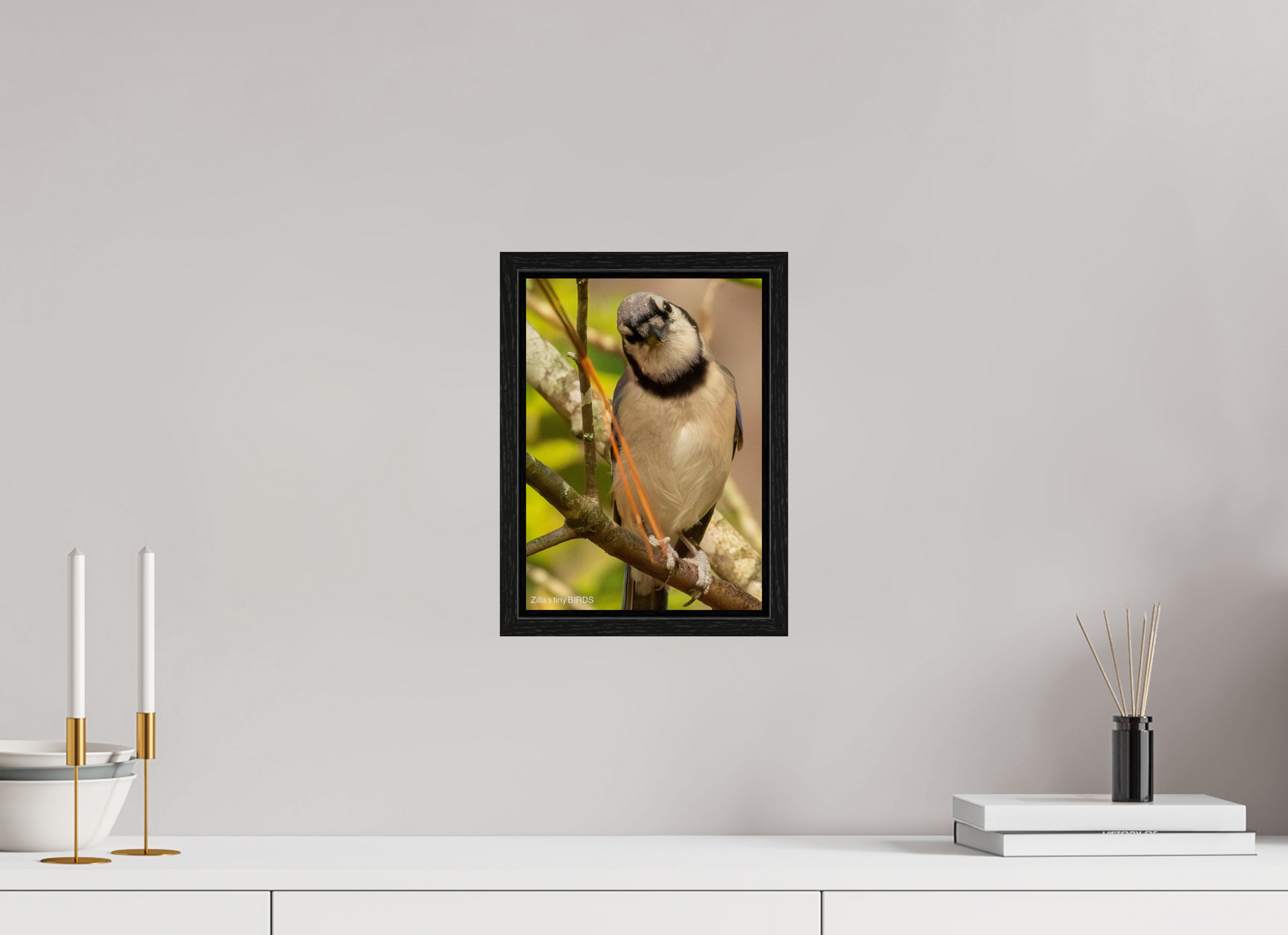 8 x 11.2″, Floater Frame Zillas Zoom Image 505