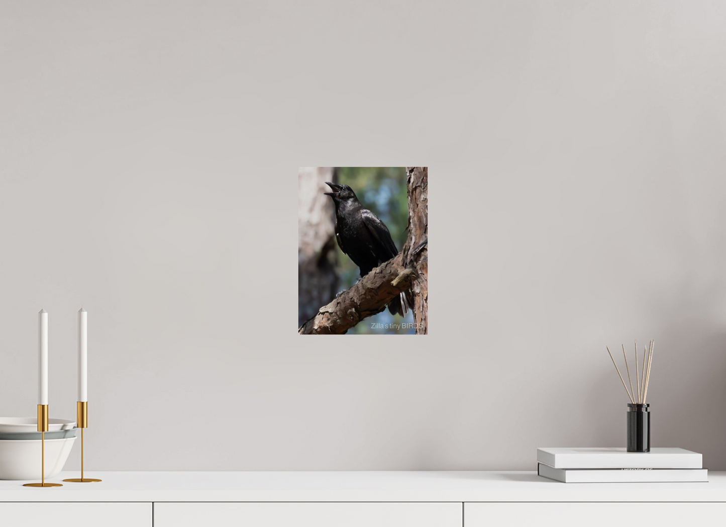 8 x 10.4″, Photo Print On Fuji Crystal DP II Zillas Zoom Image 498