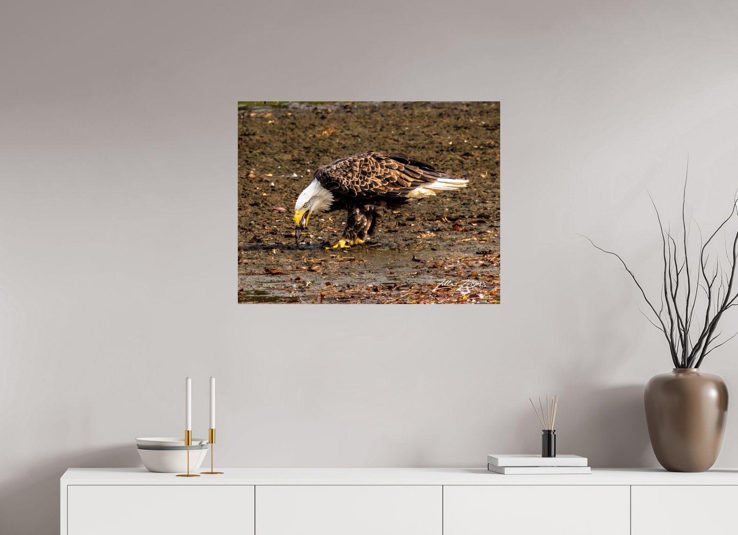 31.1 x 24″, Photo Print On Fuji Crystal DP II Zillas Zoom Image 306