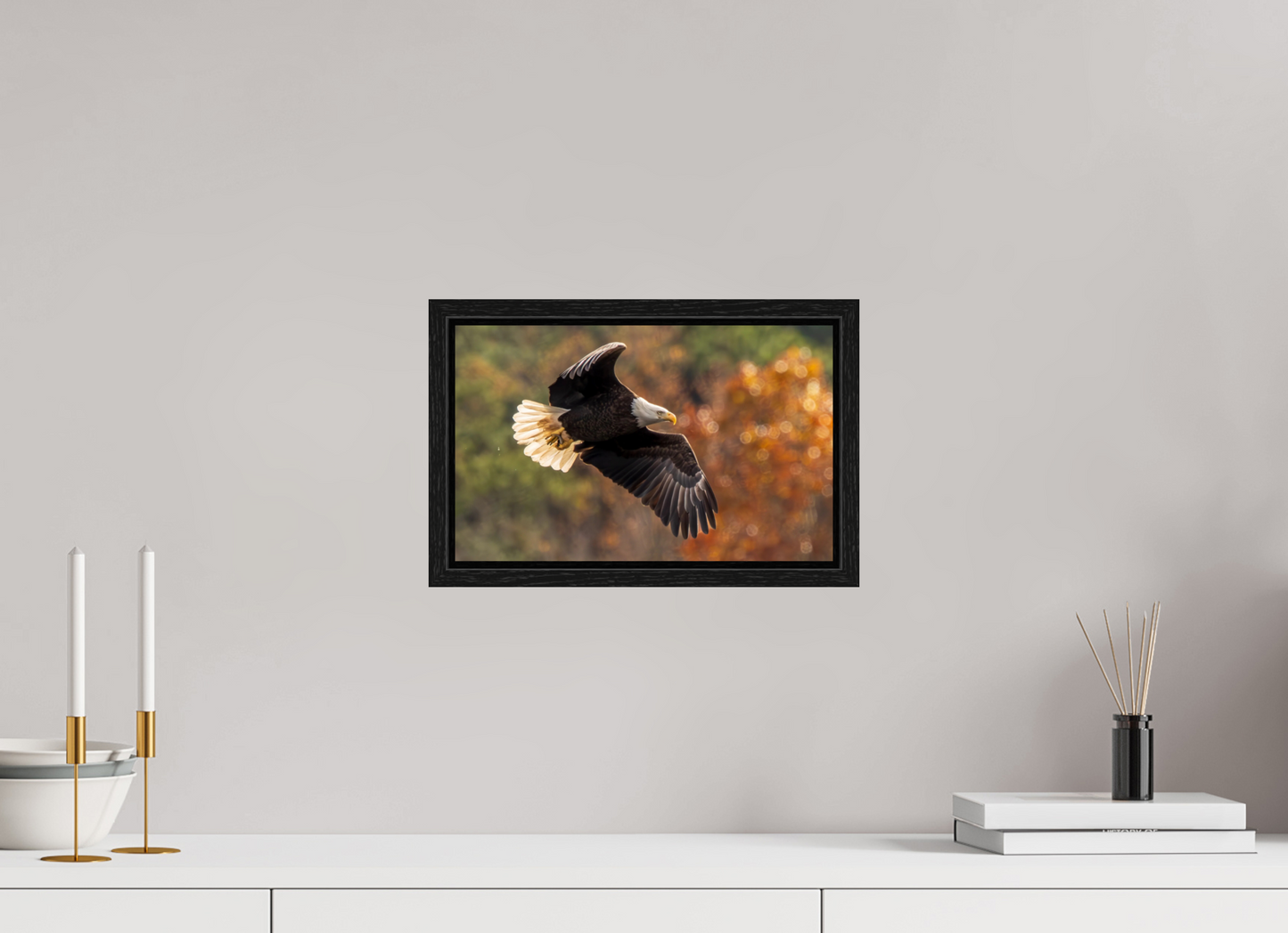 12.8 x 8″, Floater Frame Zillas Zoom Image 396