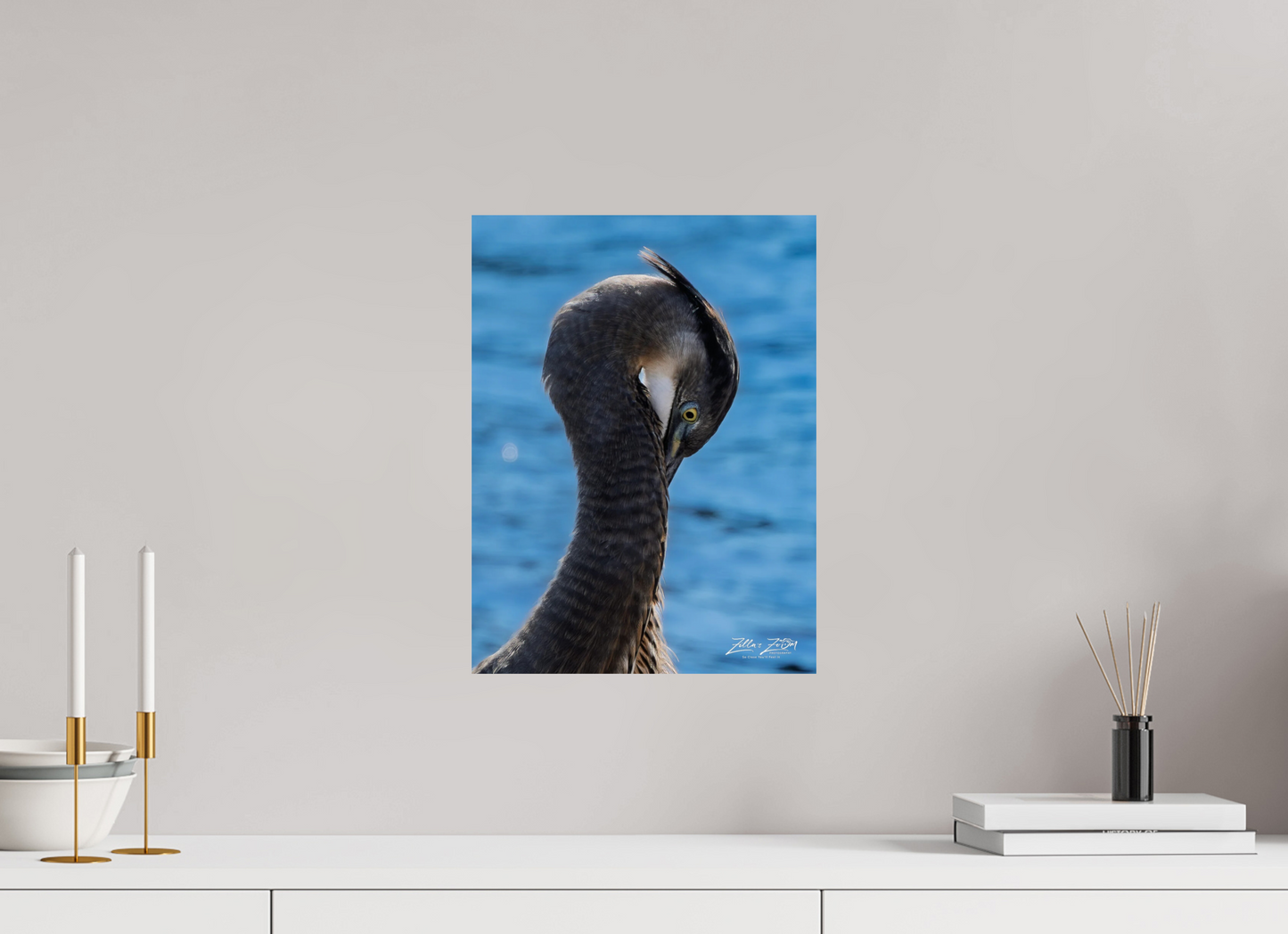 12 x 16″, Photo Print On Fuji Crystal DP II Zillas Zoom Image 453