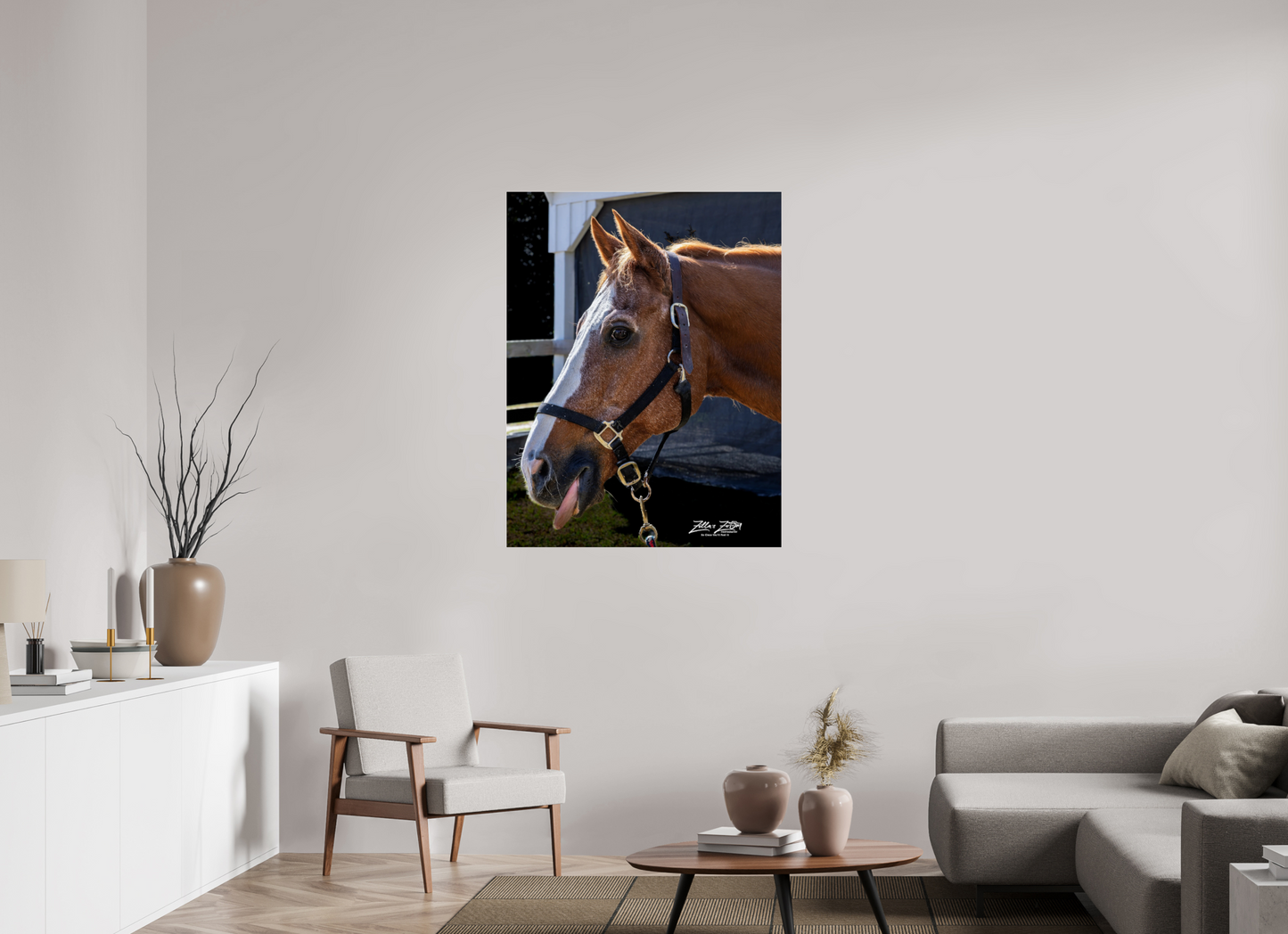 35 x 45.3″, Photo Print Under Acrylic Glass Zillas zoom image 157