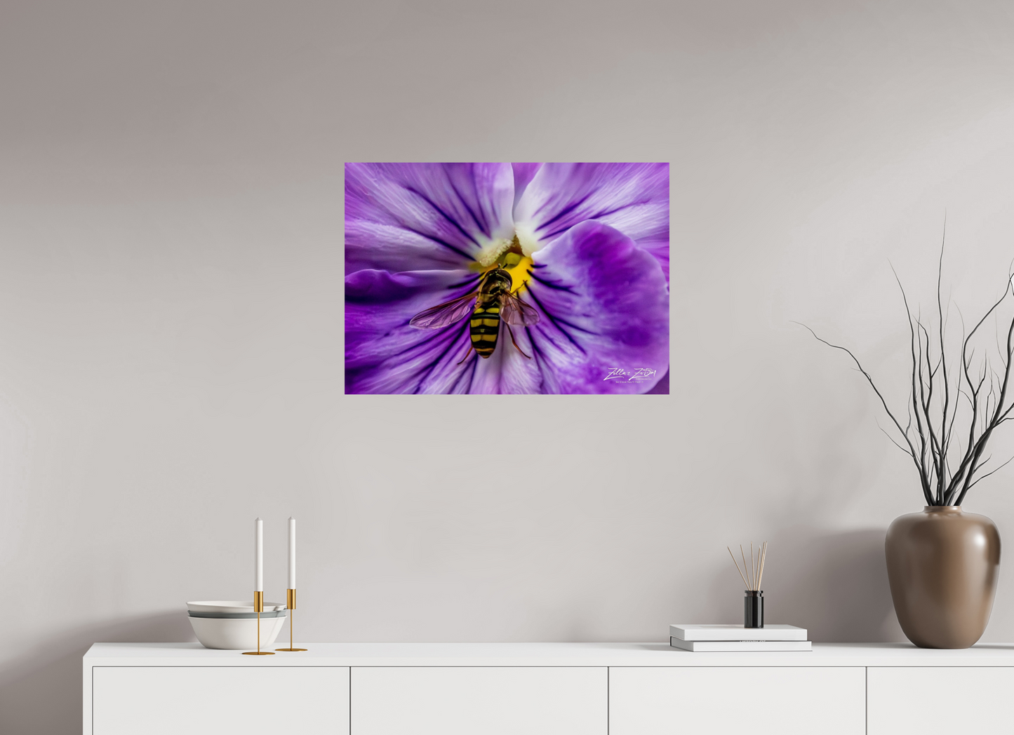 28 x 20″, Photo Print On Fuji Crystal DP II Zillas Zoom Image 103