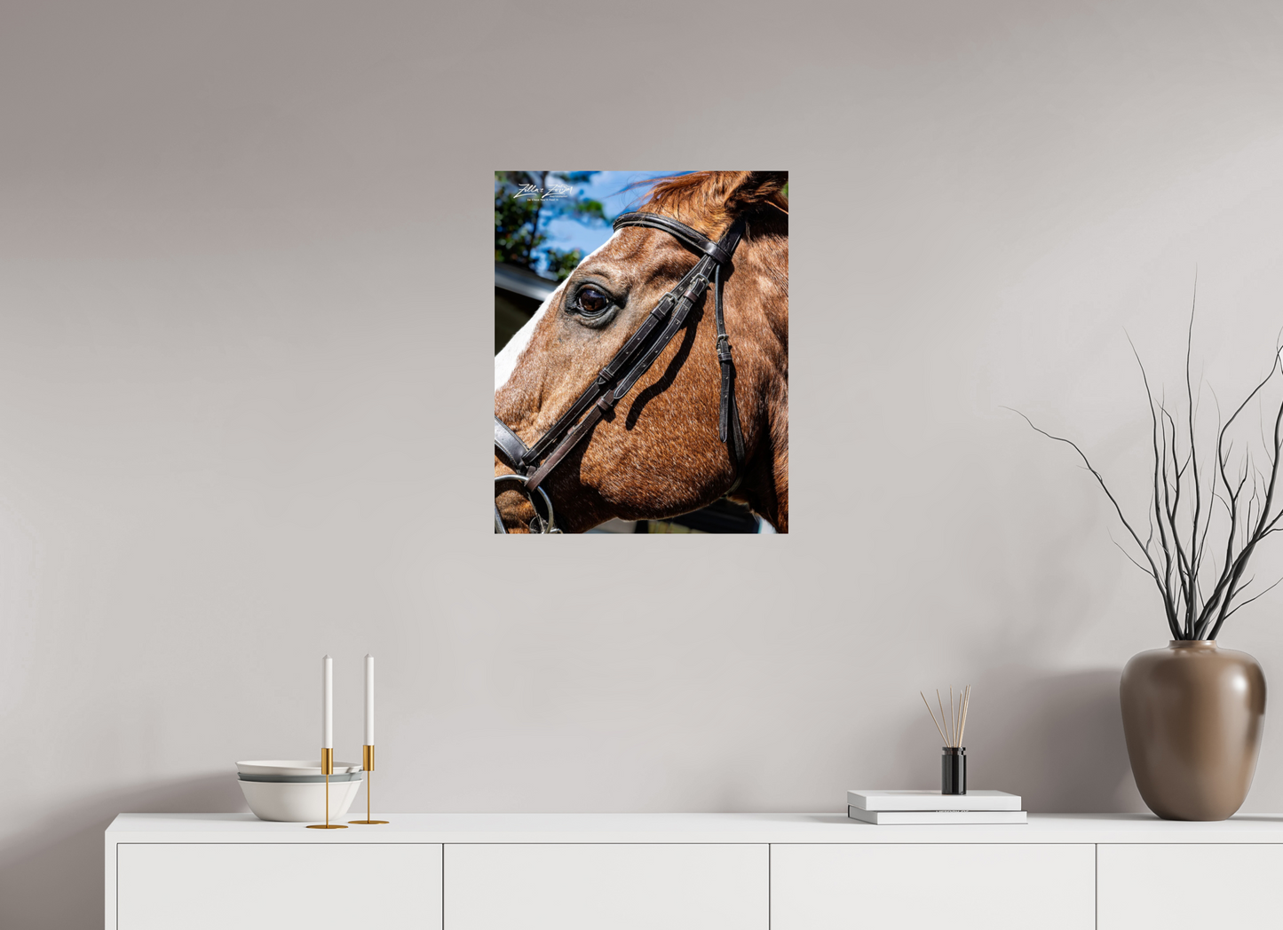 20 x 24.7″, Photo Print On Fuji Crystal DP II Zillas zoom image 149