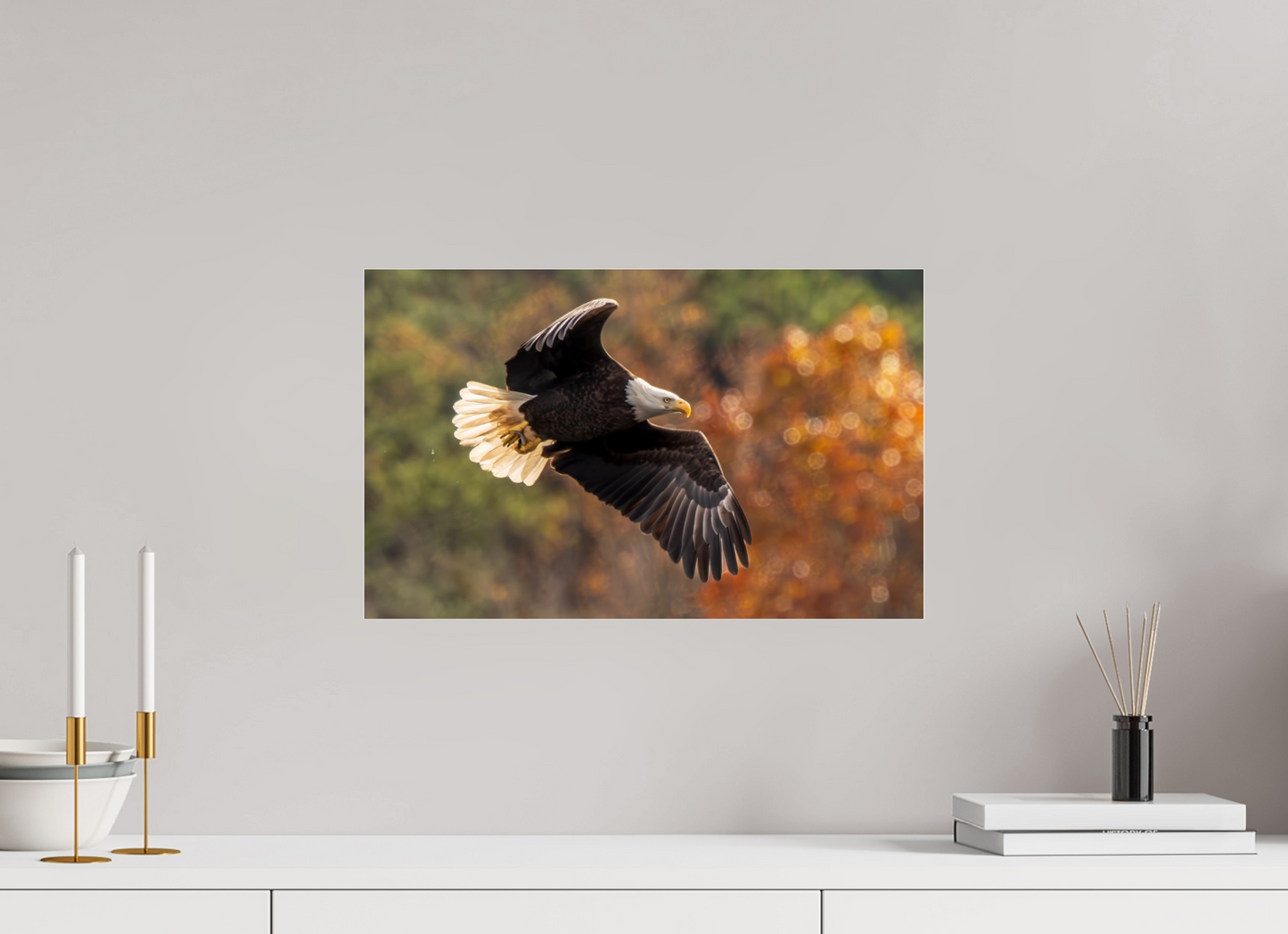 19.2 x 12″, Photo Print Under Acrylic Glass Zillas Zoom Image 396