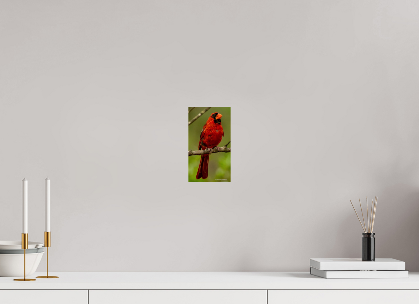 4.5 x 8″, Photo Print Under Acrylic Glass Zillas Zoom Image 397