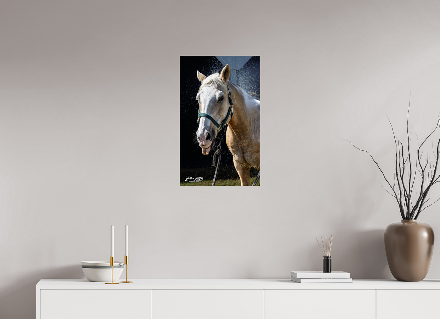 16 x 25.9″, Photo Print On Fuji Crystal DP II Zillas zoom image 156