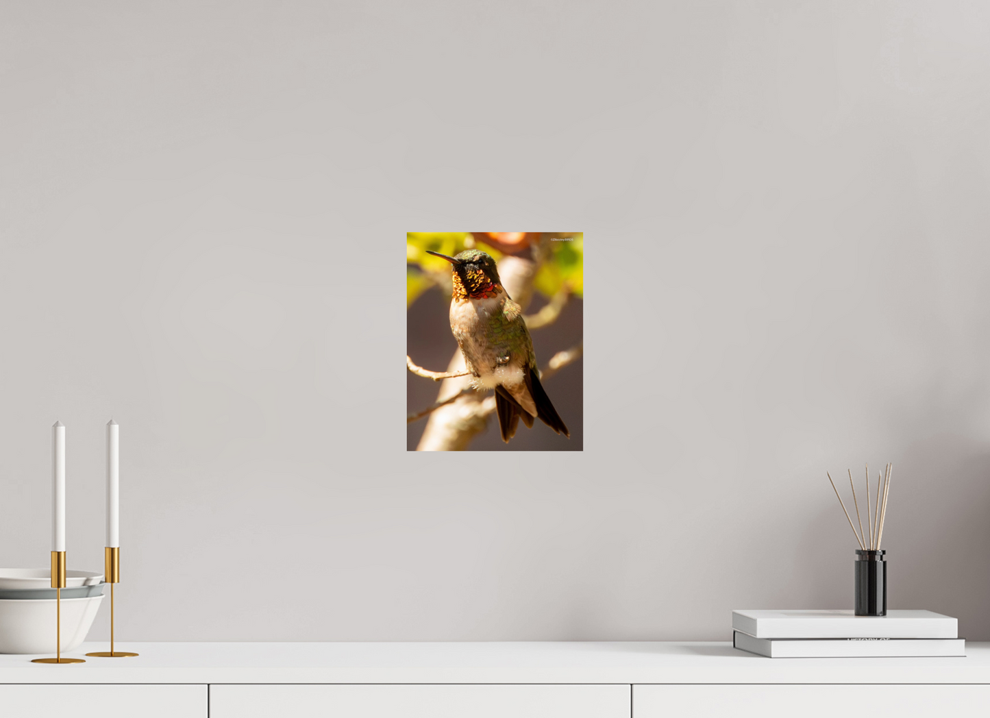 8 x 9.9″, Photo Print On Fuji Crystal DP II Zillas Zoom Image 339