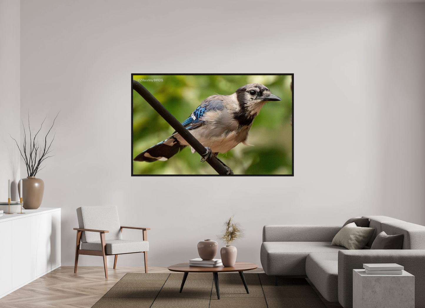 75.2 x 47″, Floater Frame Zillas Zoom Image 348
