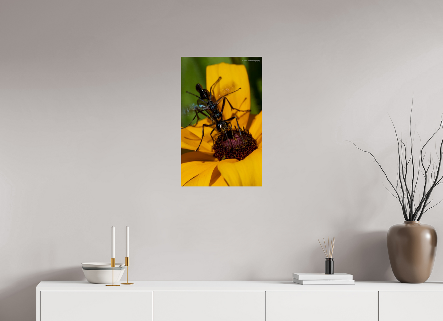 16 x 25.6″, Photo Print On Fuji Crystal DP II Zillas Zoom Image 108