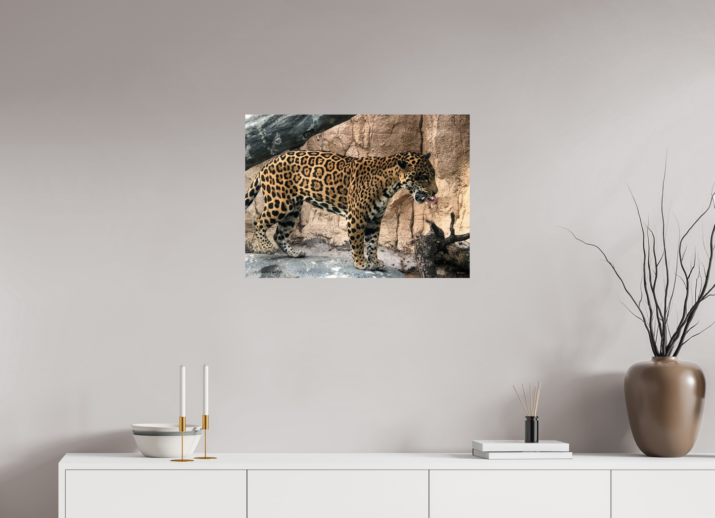 27.4 x 20″, Photo Print On Fuji Crystal DP II Zillas zoom image 137